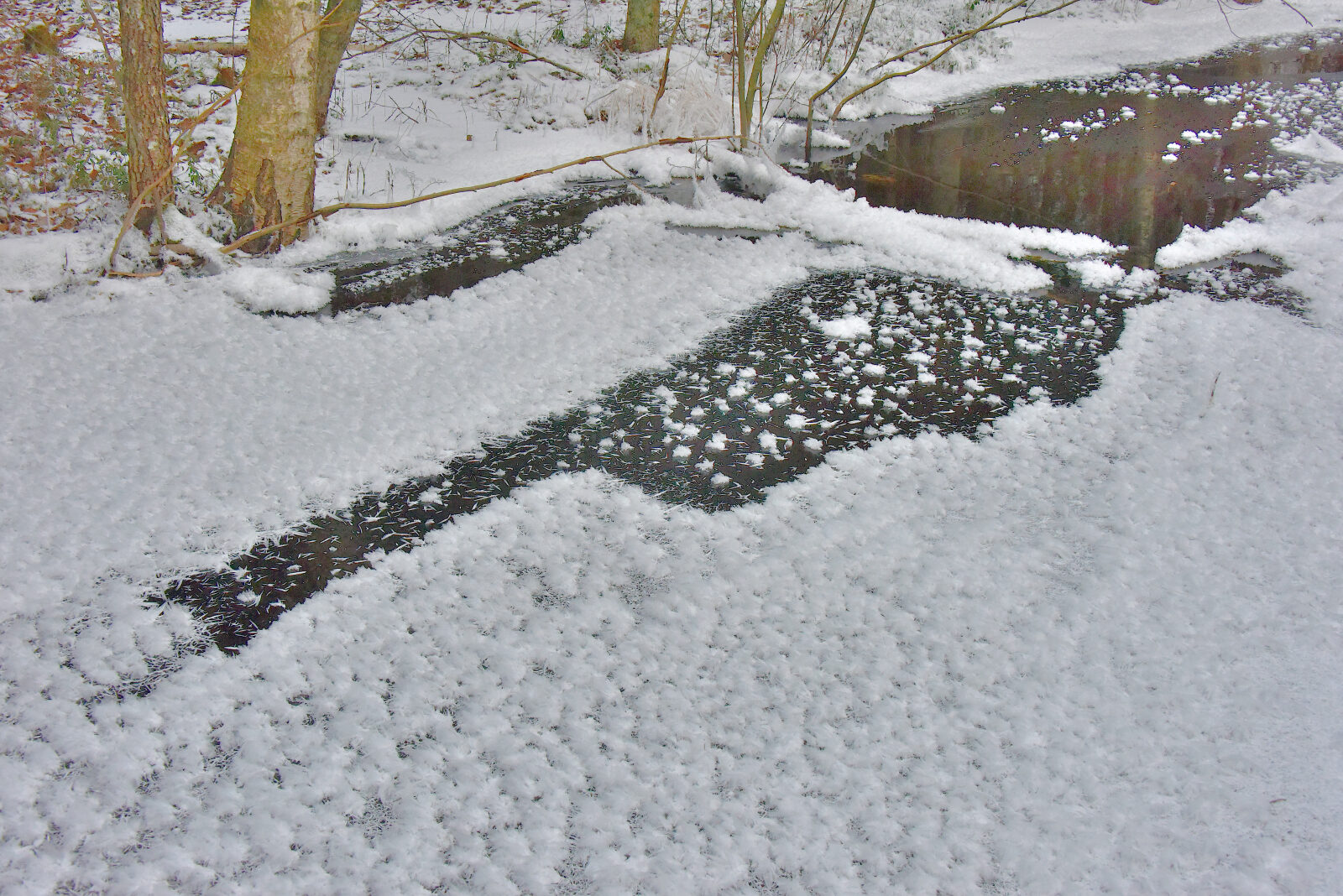 Valokuvaaja: Reijo Juurinen Valokuvaaja: Reijo Juurinen