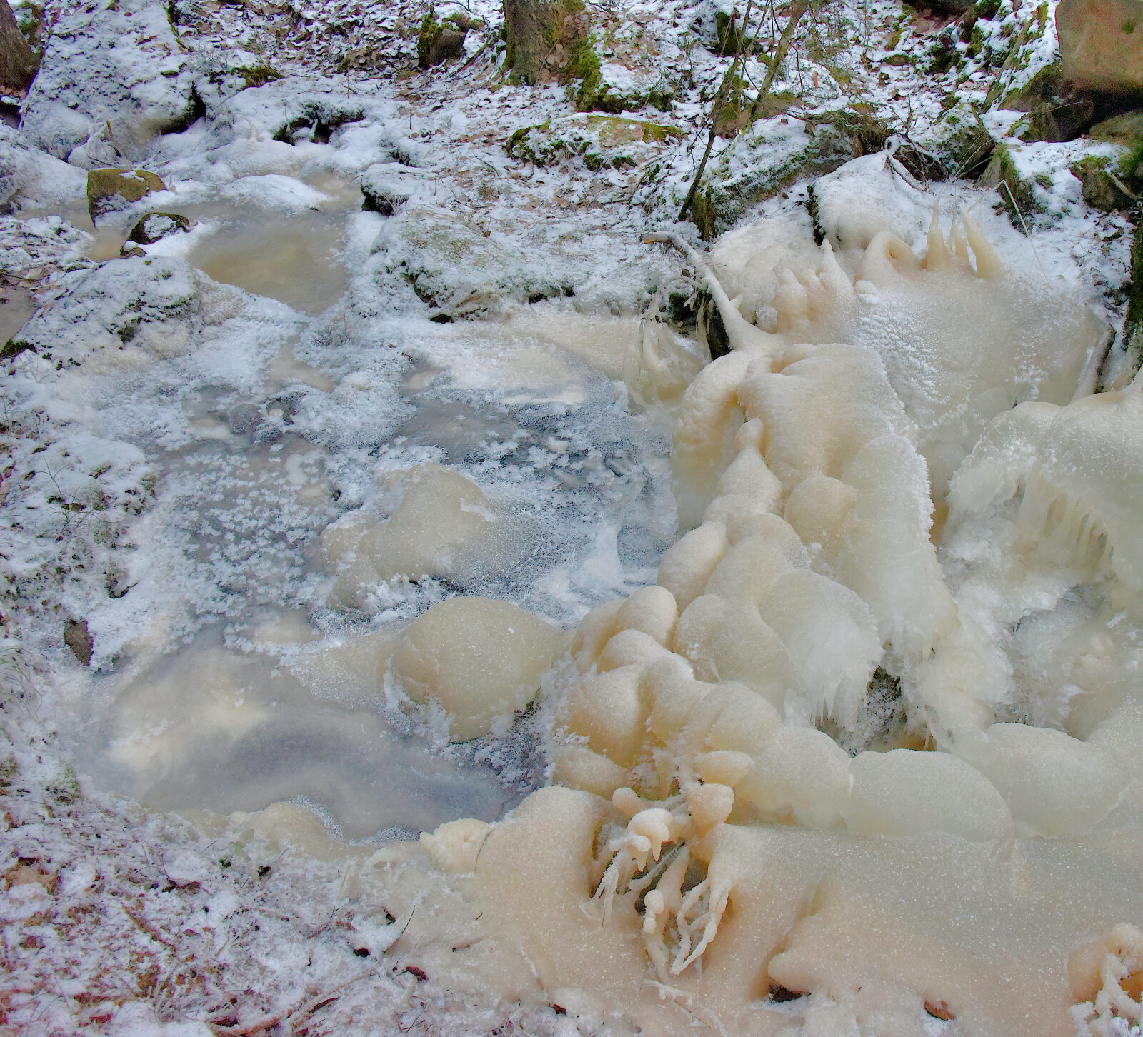 Valokuvaaja: Reijo Juurinen