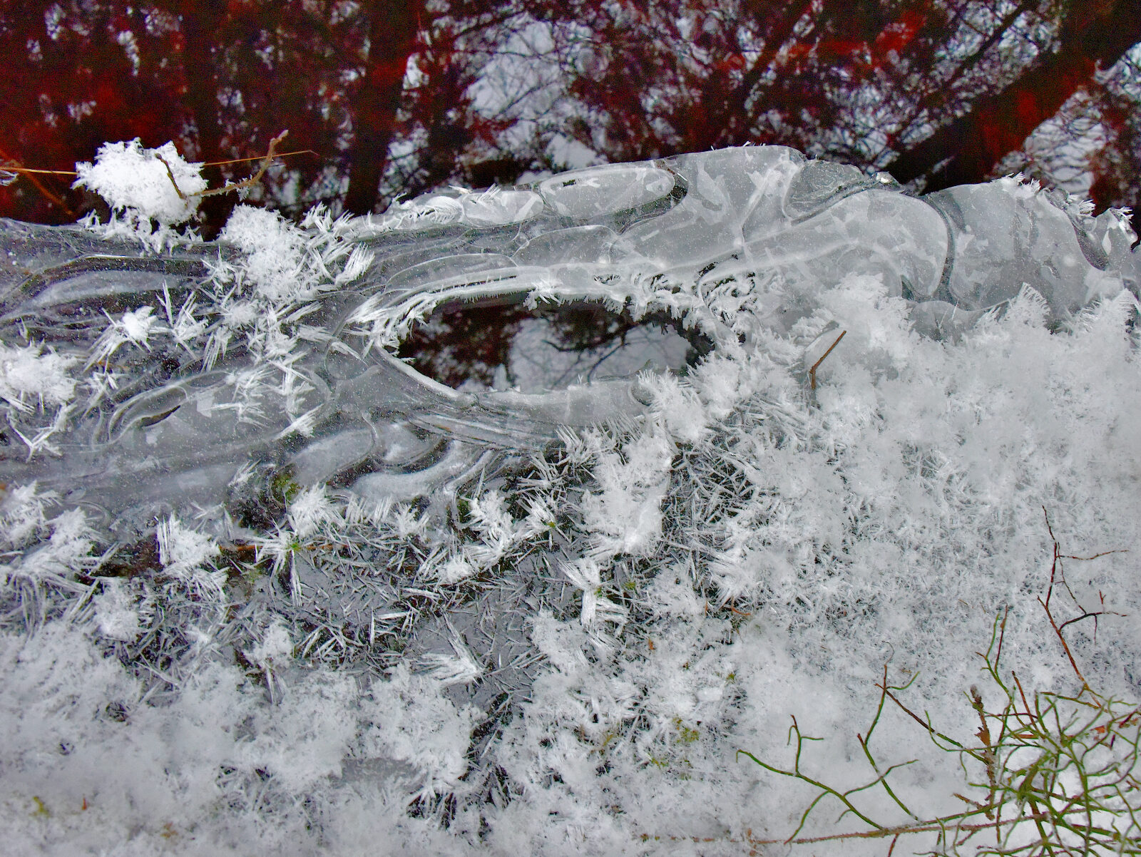 Valokuvaaja: Reijo Juurinen