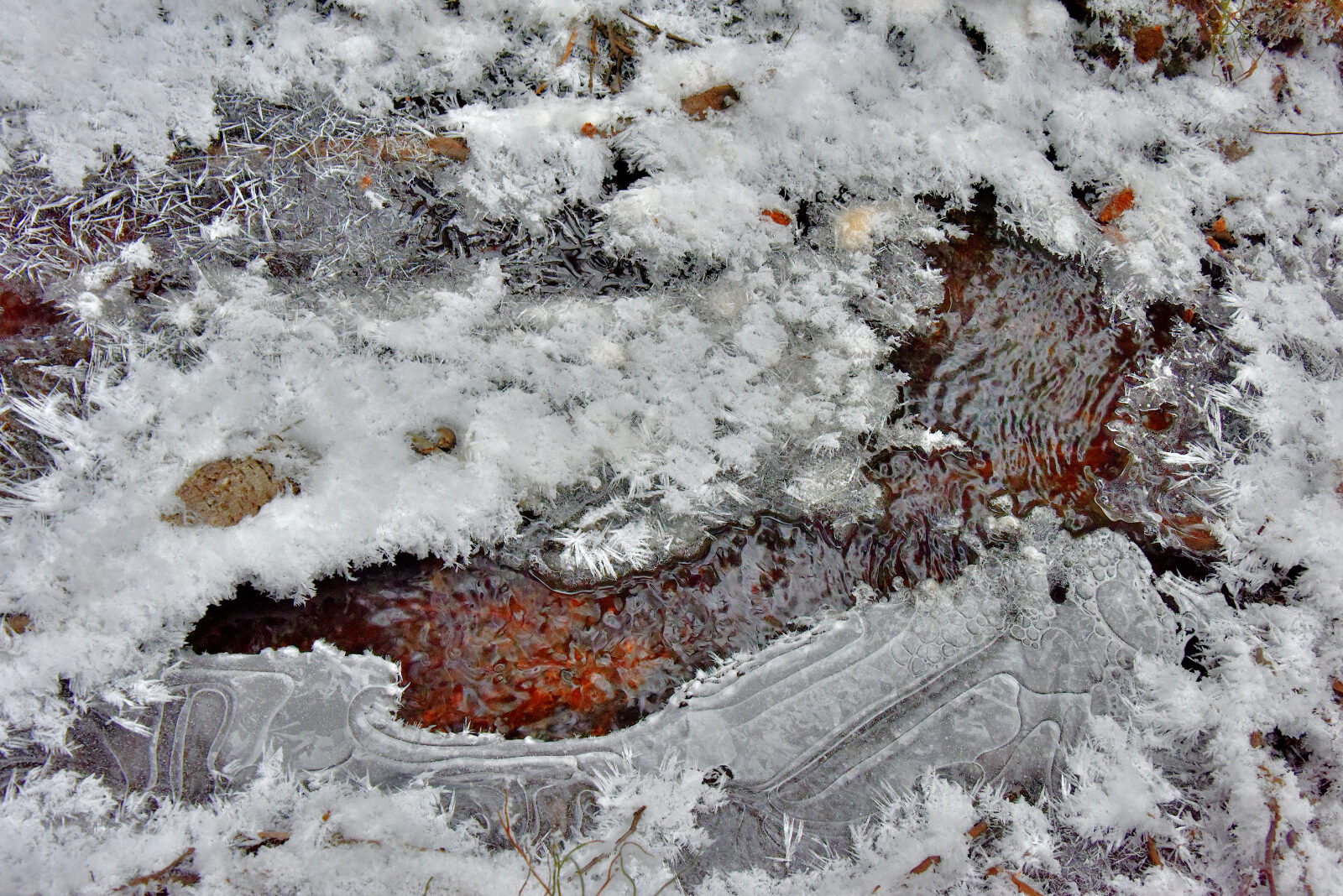 Valokuvaaja: Reijo Juurinen