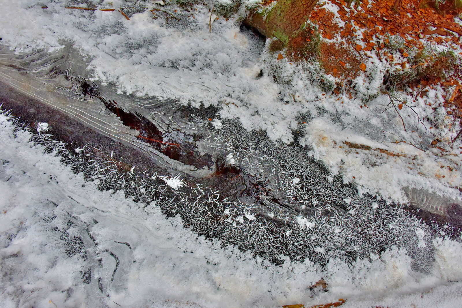 Valokuvaaja: Reijo Juurinen