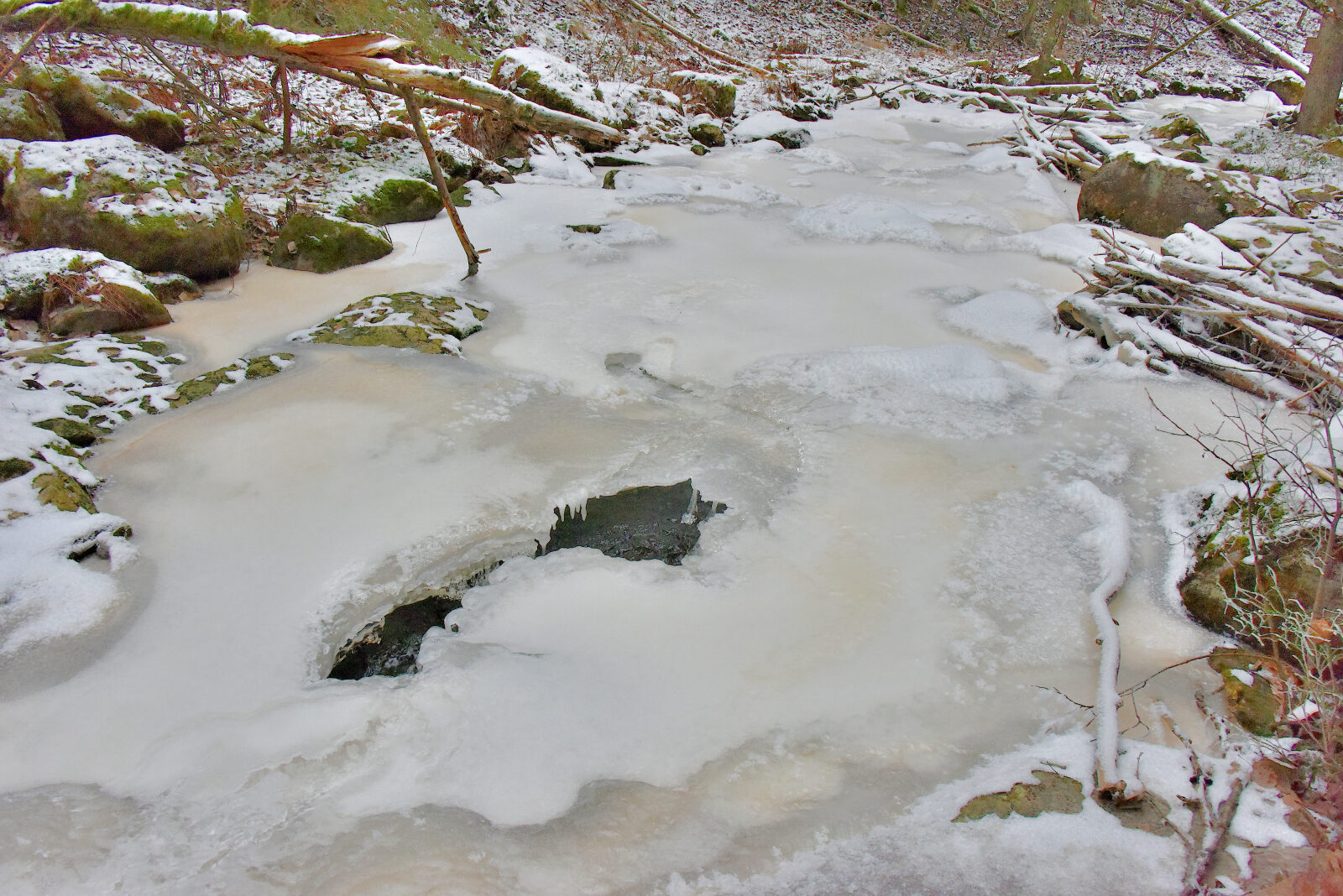 Valokuvaaja: Reijo Juurinen Valokuvaaja: Reijo Juurinen