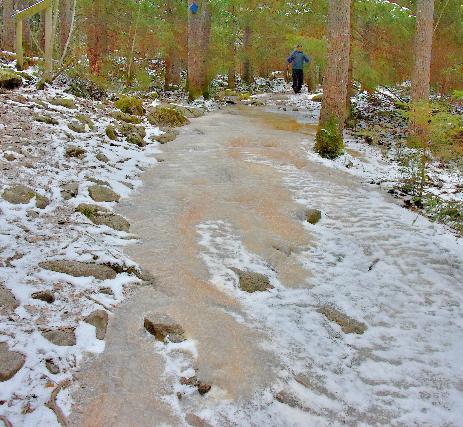 Valokuvaaja: Reijo Juurinen