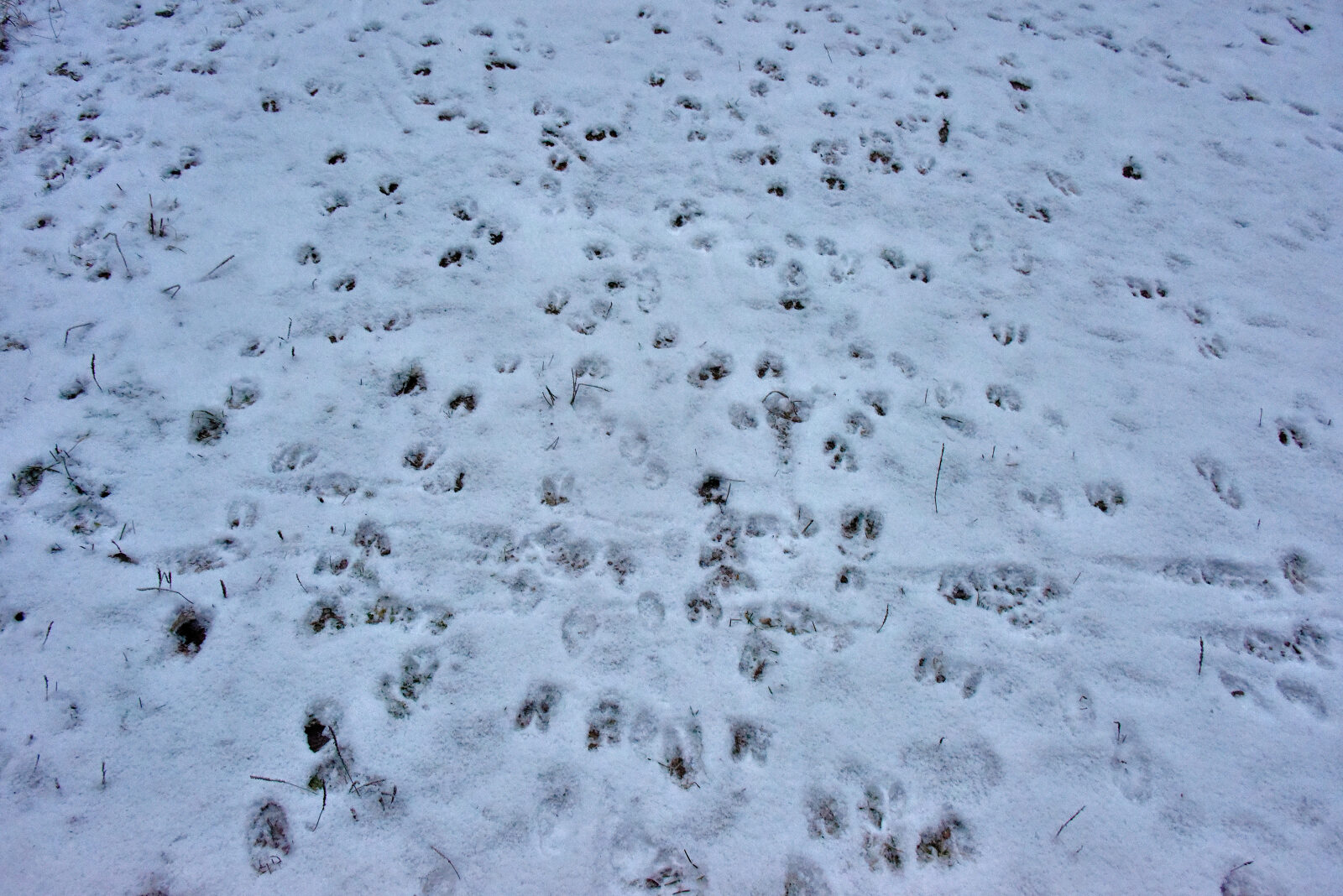 Valokuvaaja: Reijo Juurinen