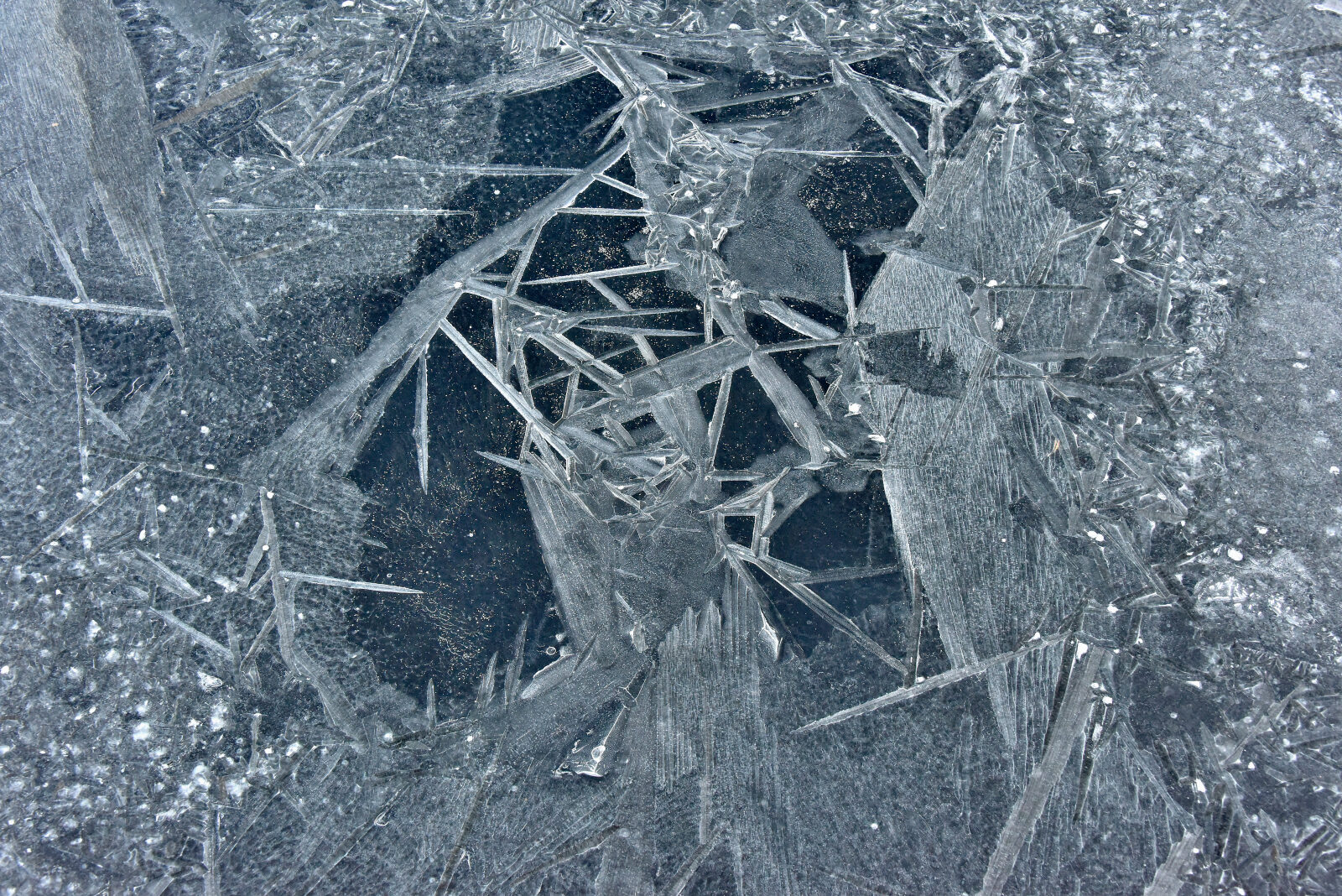 Valokuvaaja: Reijo Juurinen