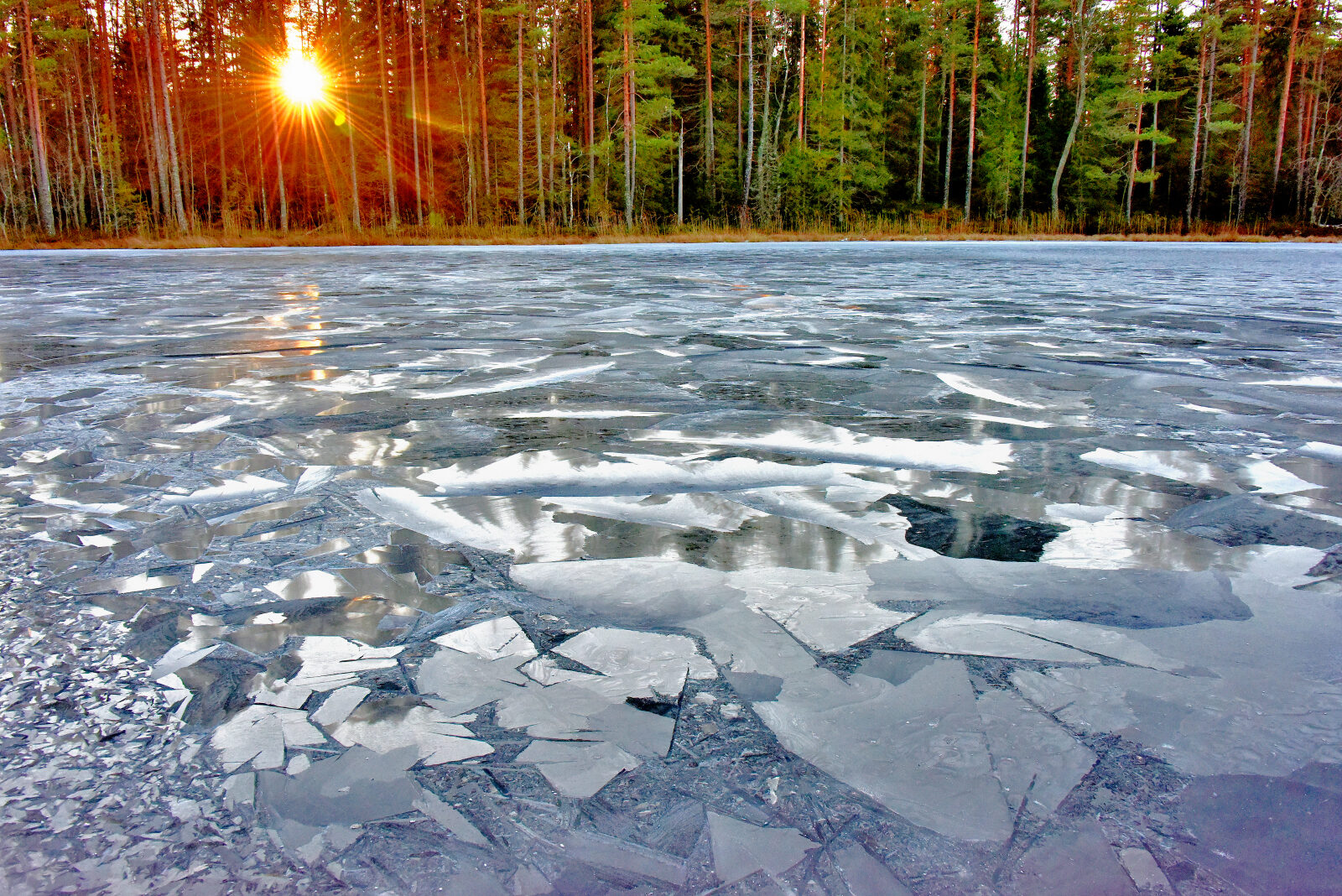 Valokuvaaja: Reijo Juurinen