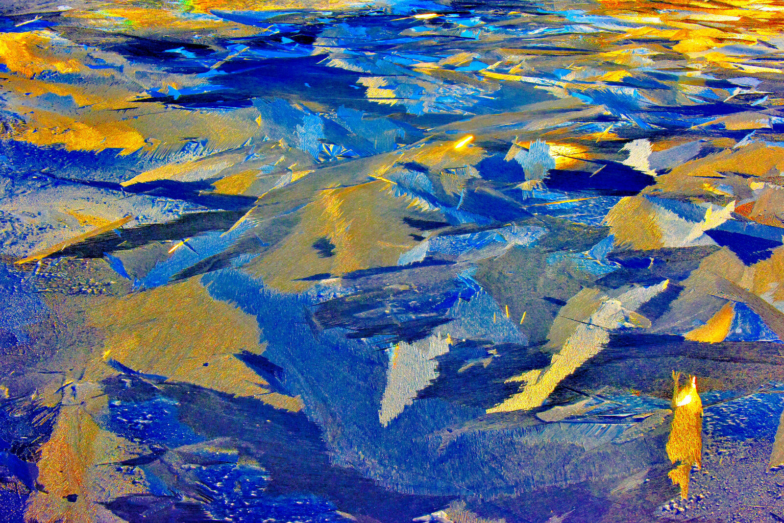 Valokuvaaja: Reijo Juurinen