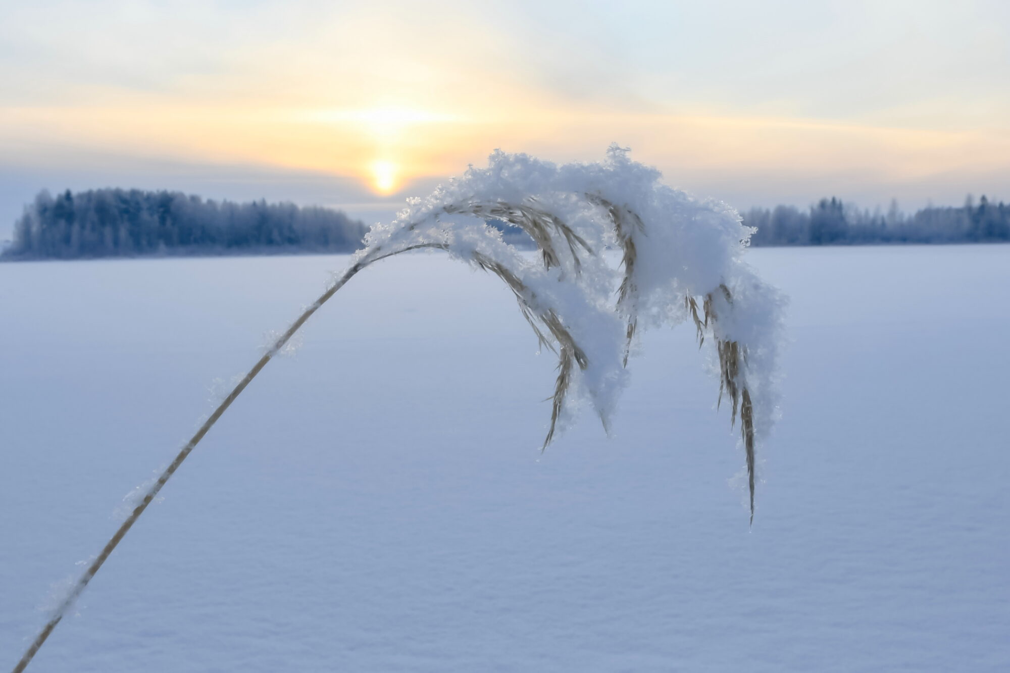 Valokuvaaja: Leena Rissanen
