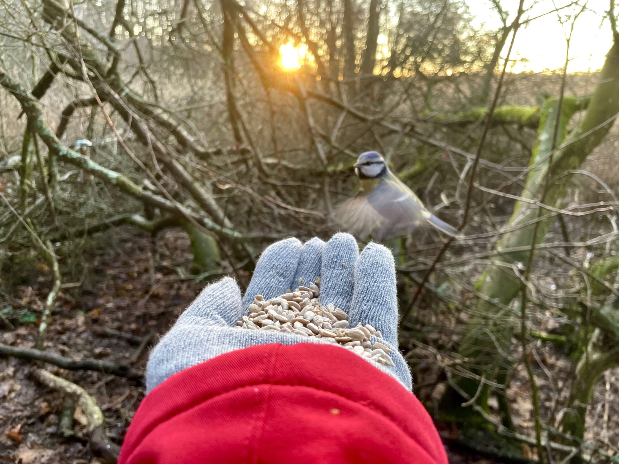 Valokuvaaja: Juhani Peltonen