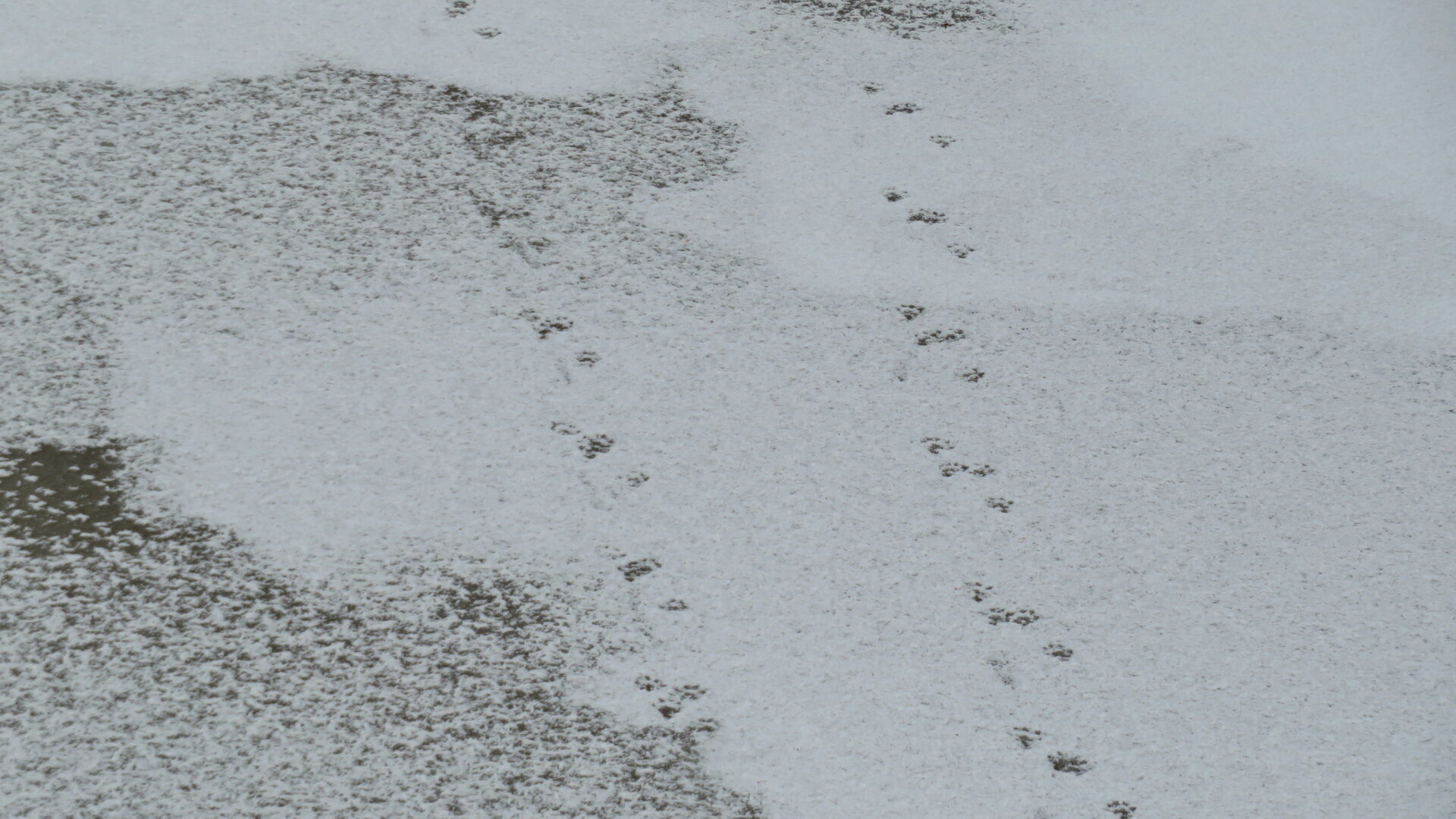 Valokuvaaja: Risto Kangassalo