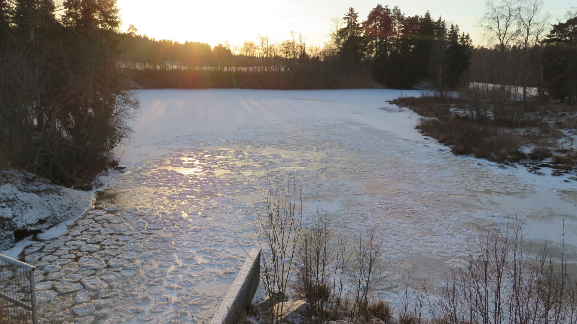 Valokuvaaja: Risto Kangassalo