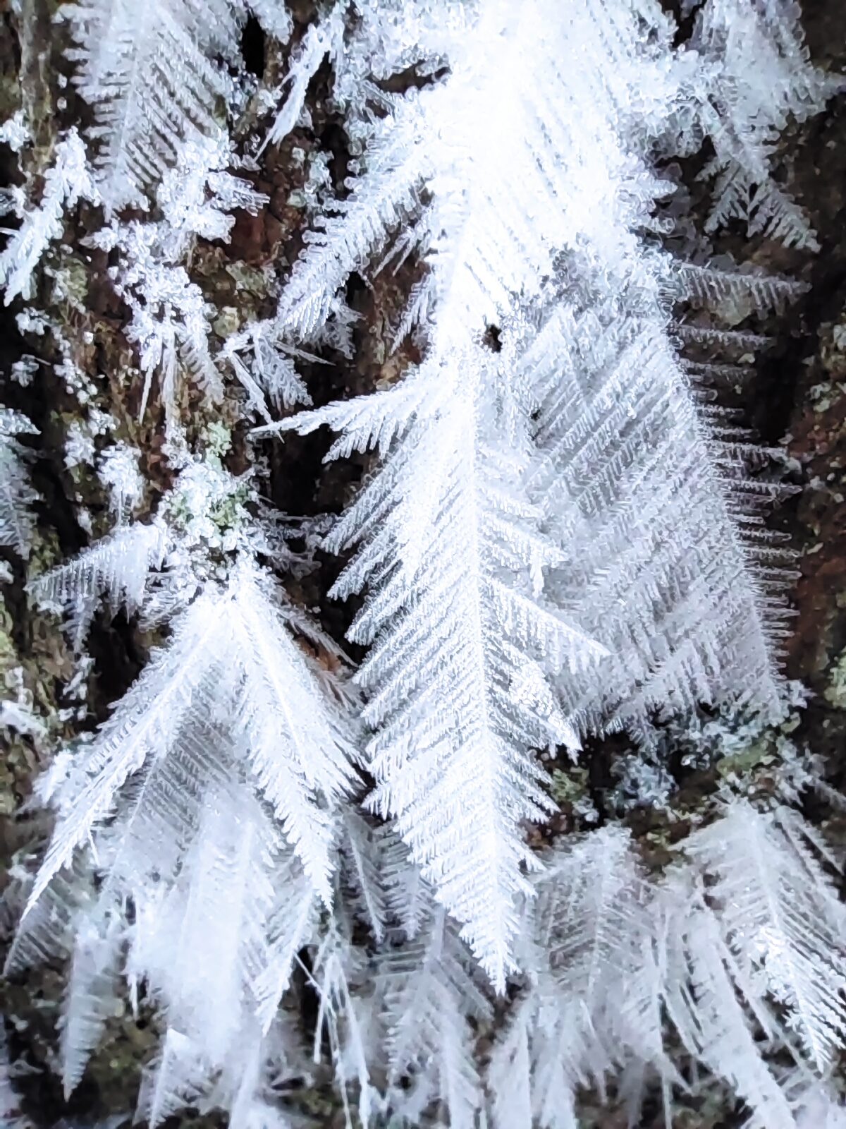 Valokuvaaja: Tiina Mäkinen