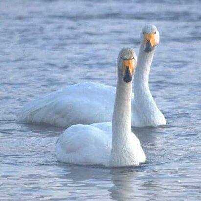 Valokuvaaja: Tapio Keinonen