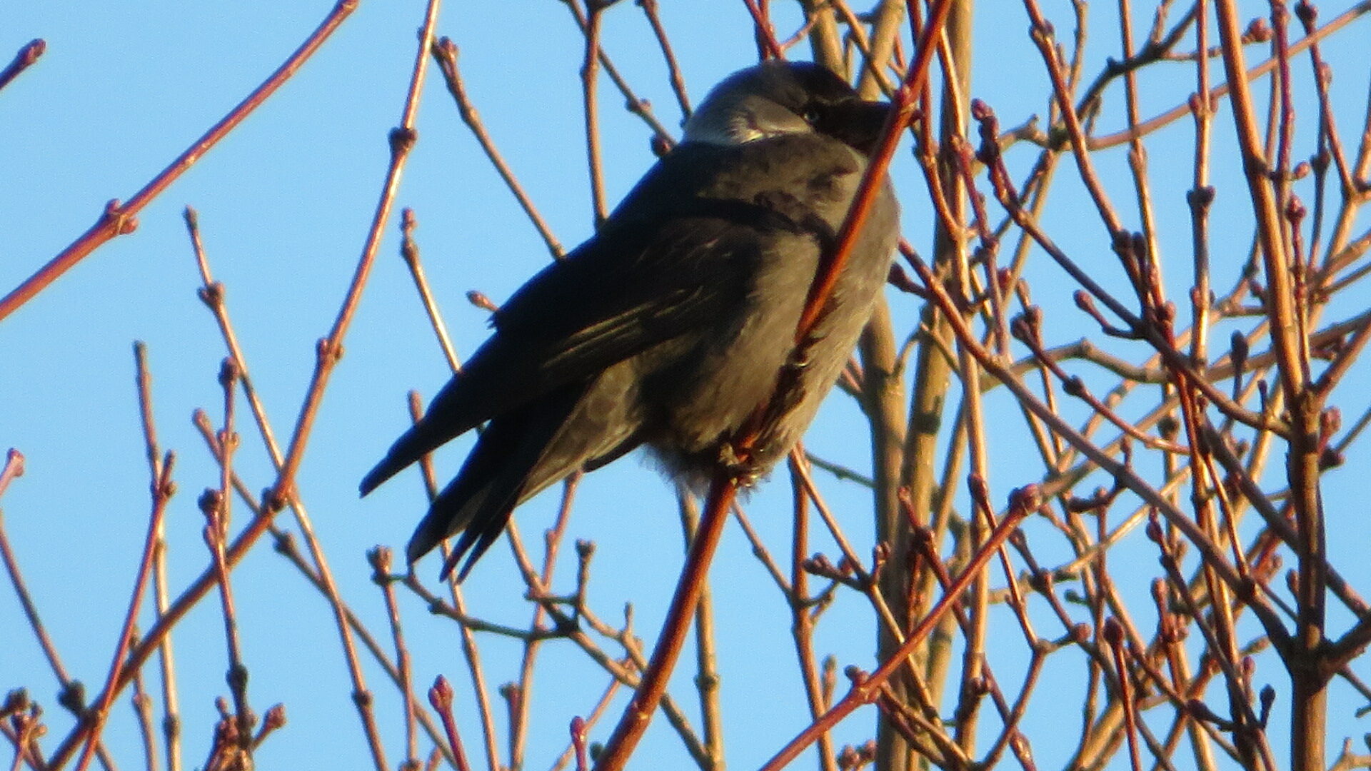 Valokuvaaja: Risto Kangassalo