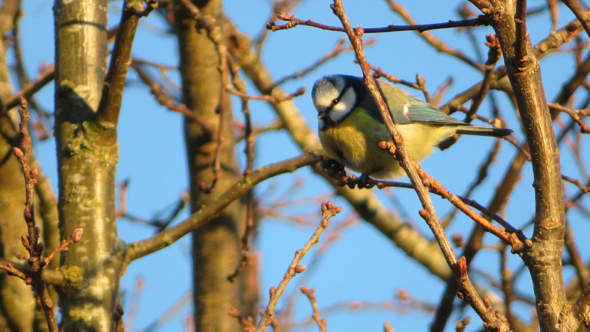 Valokuvaaja: Risto Kangassalo Valokuvaaja: Risto Kangassalo