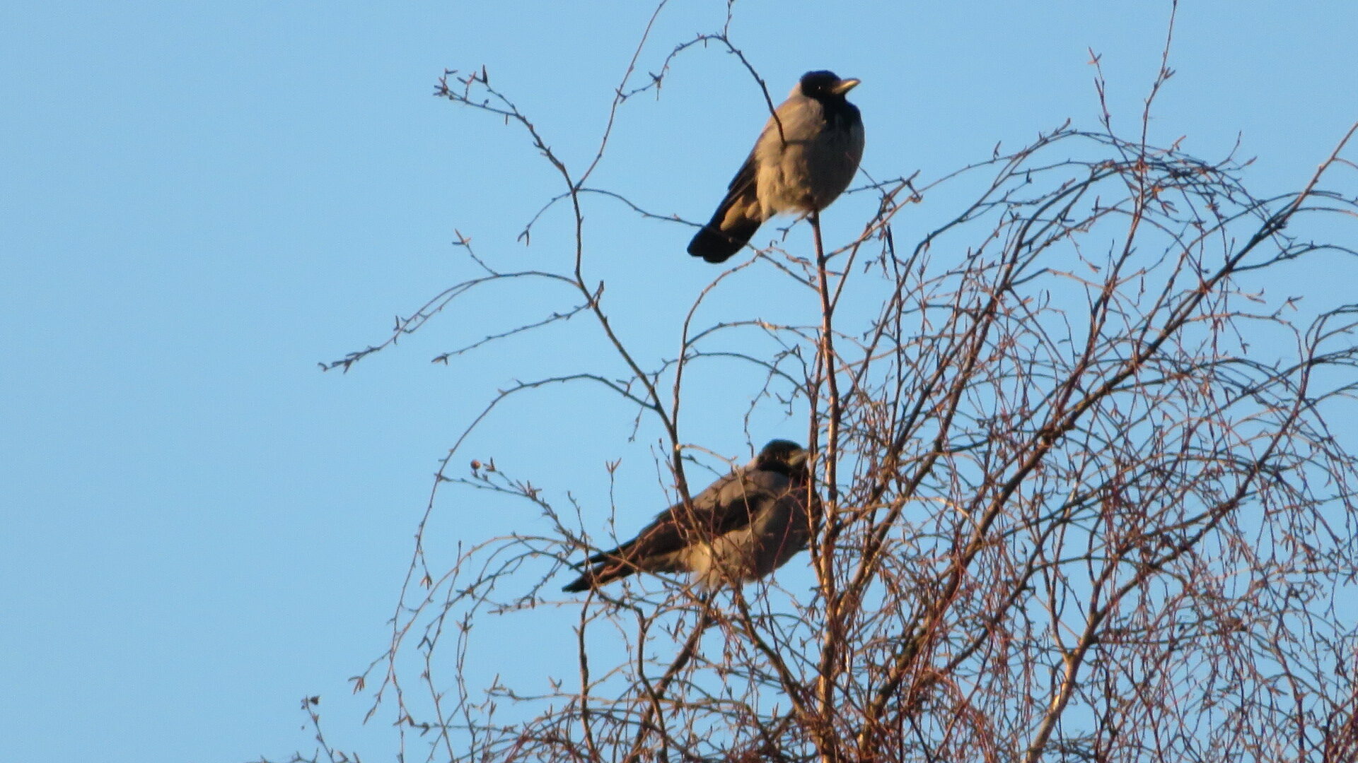 Valokuvaaja: Risto Kangassalo