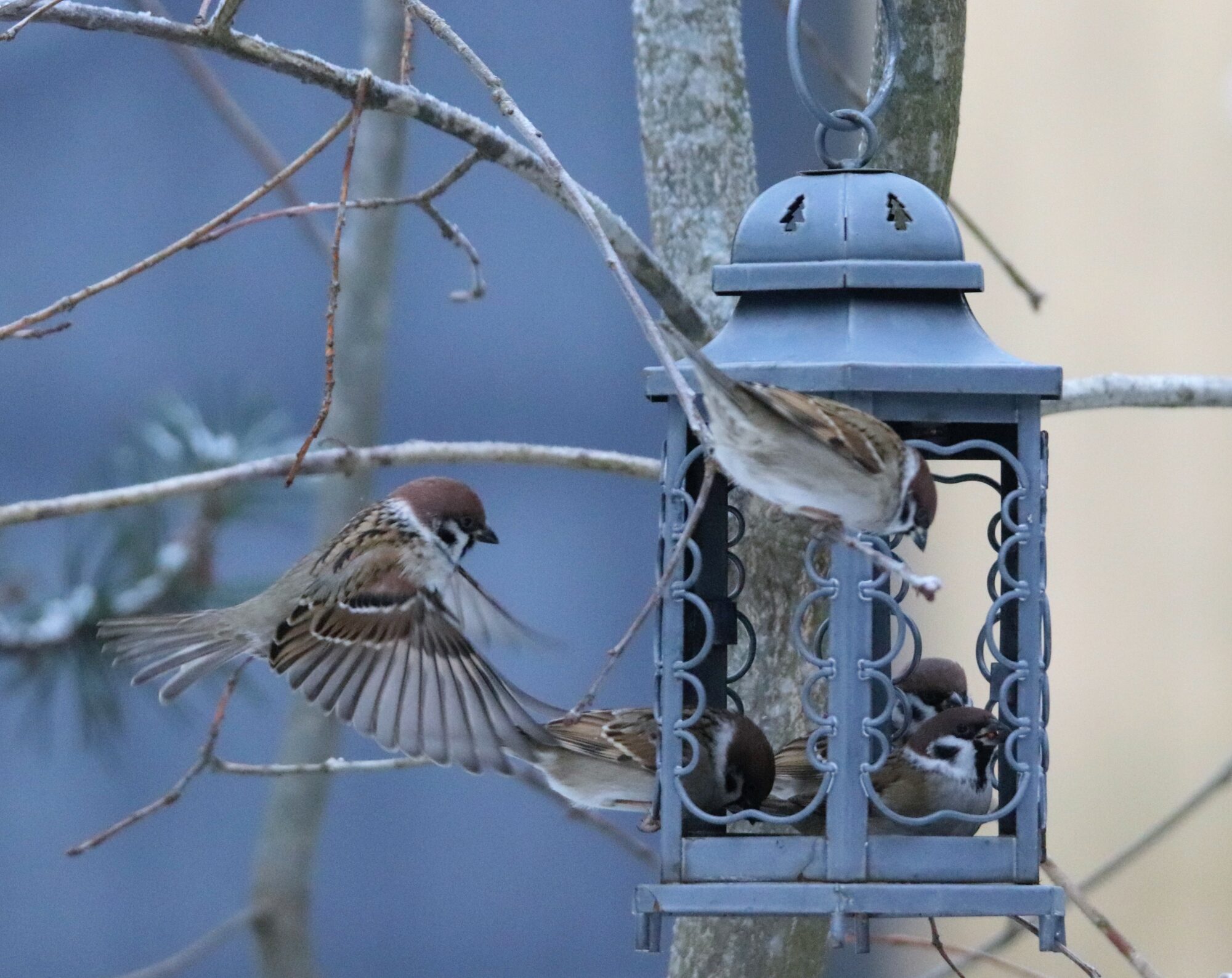 Valokuvaaja: Irja Lehtinen