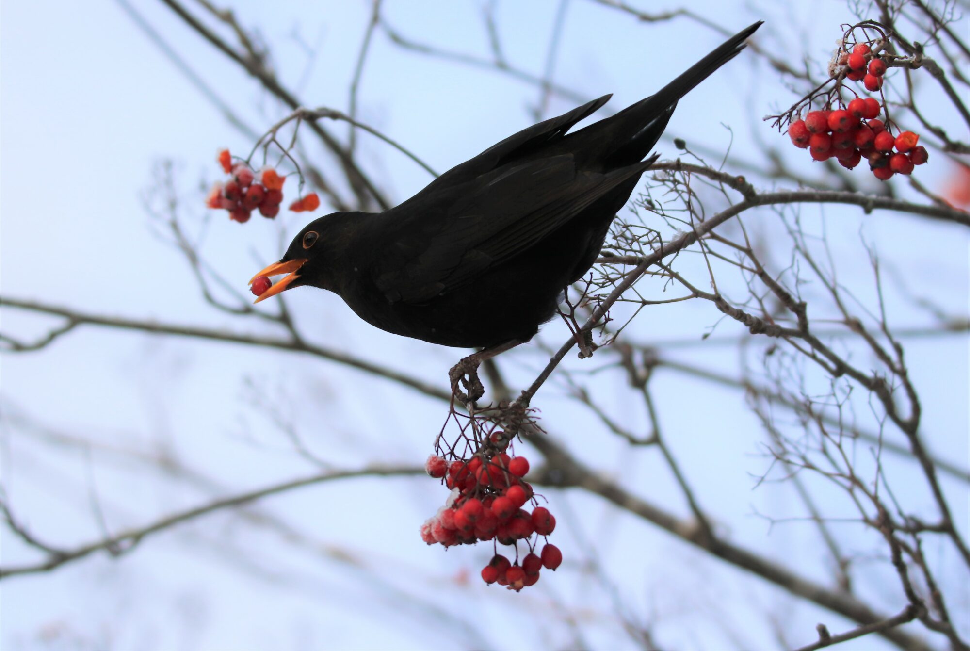 Valokuvaaja: Irja Lehtinen