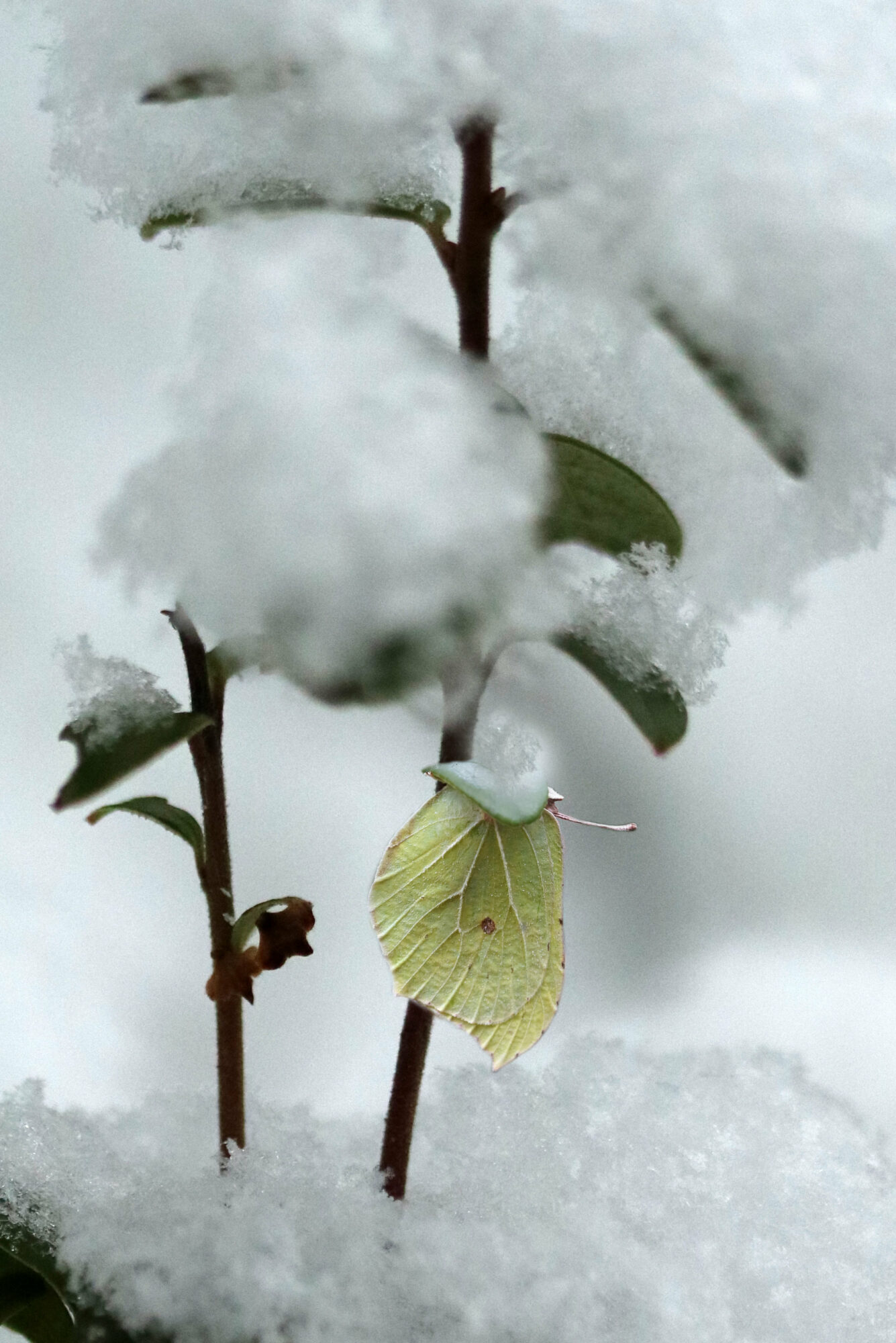 Valokuvaaja: Hannu Rasiranta