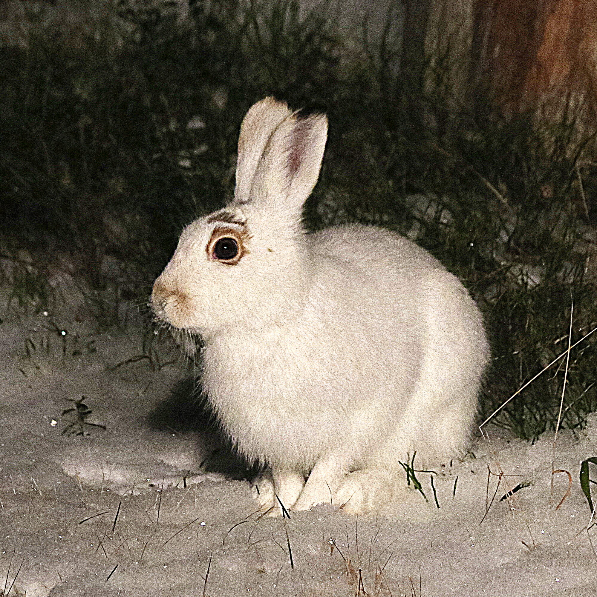 Valokuvaaja: Hannu Rasiranta