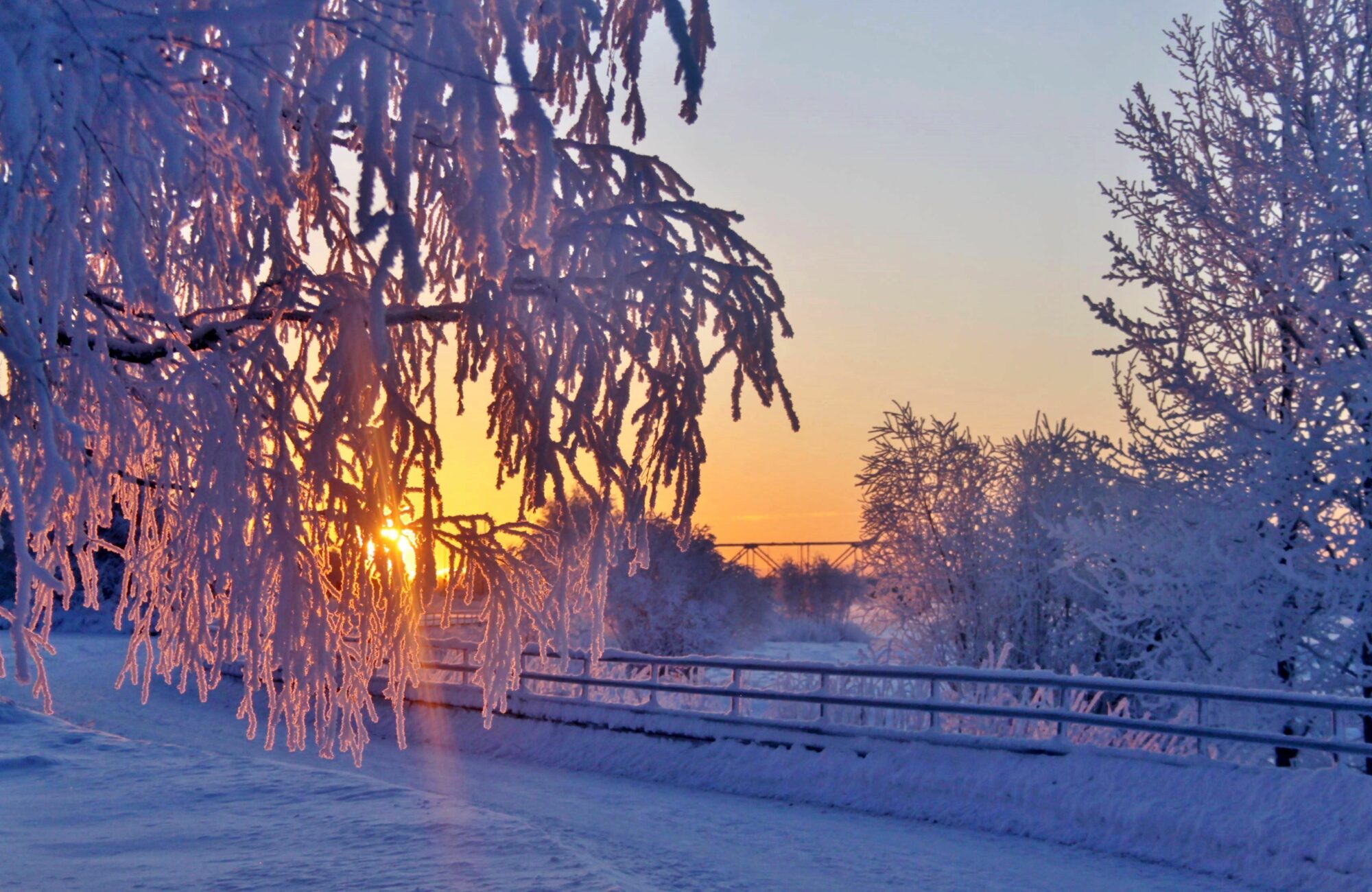 Valokuvaaja: Pirkko Siukonen