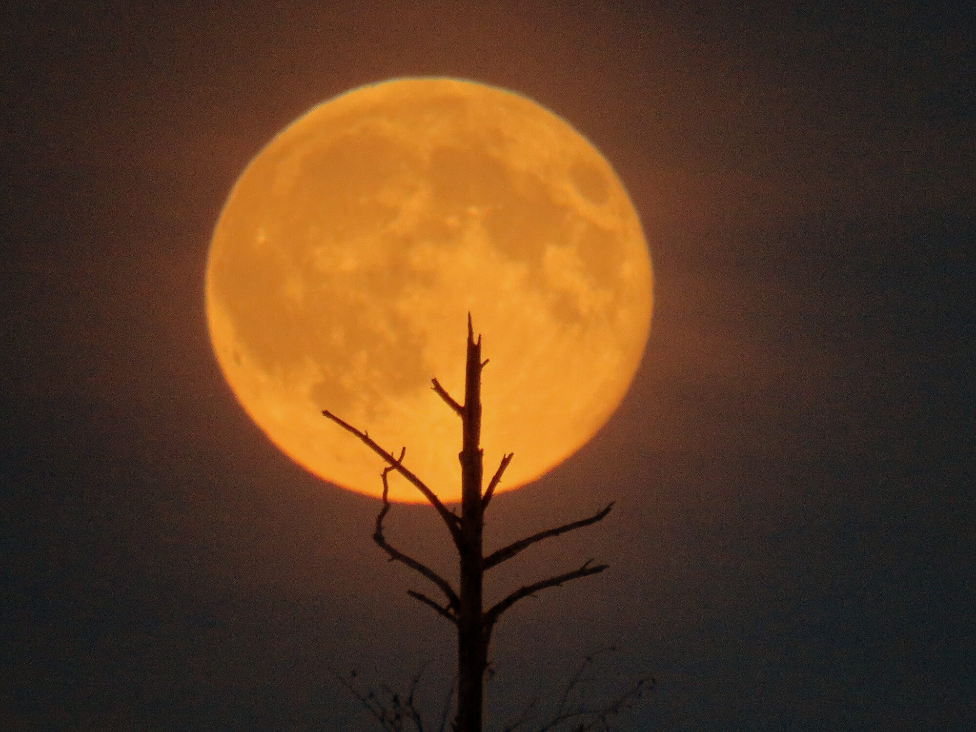 Valokuvaaja: Sirkka Ruotoistenmäki