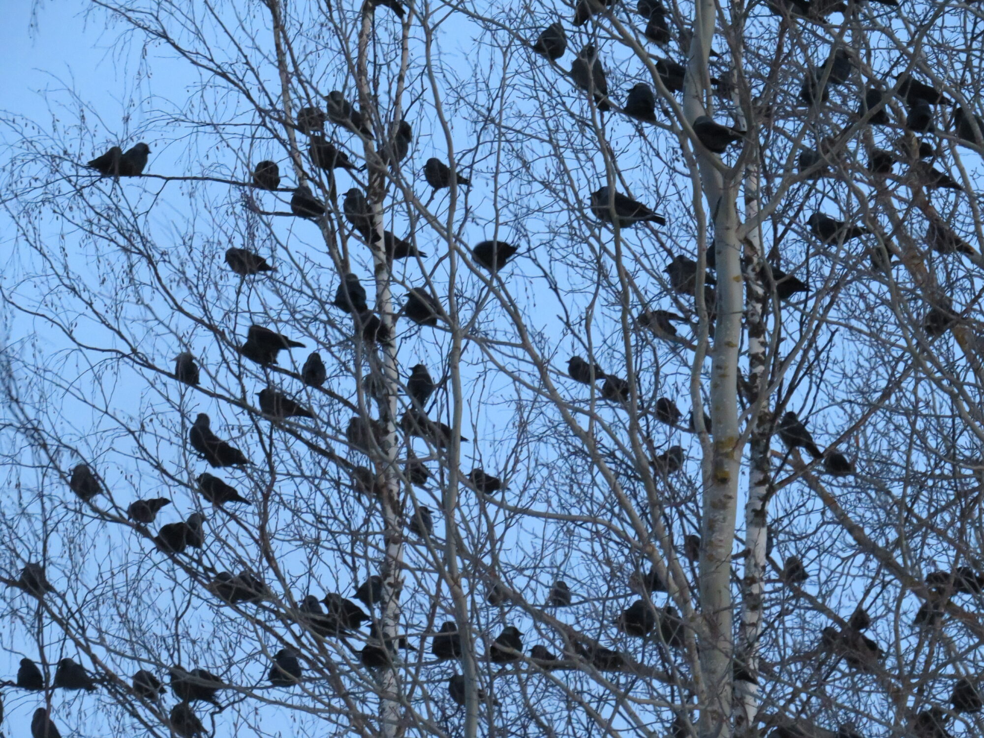 Valokuvaaja: Sirkka Ruotoistenmäki
