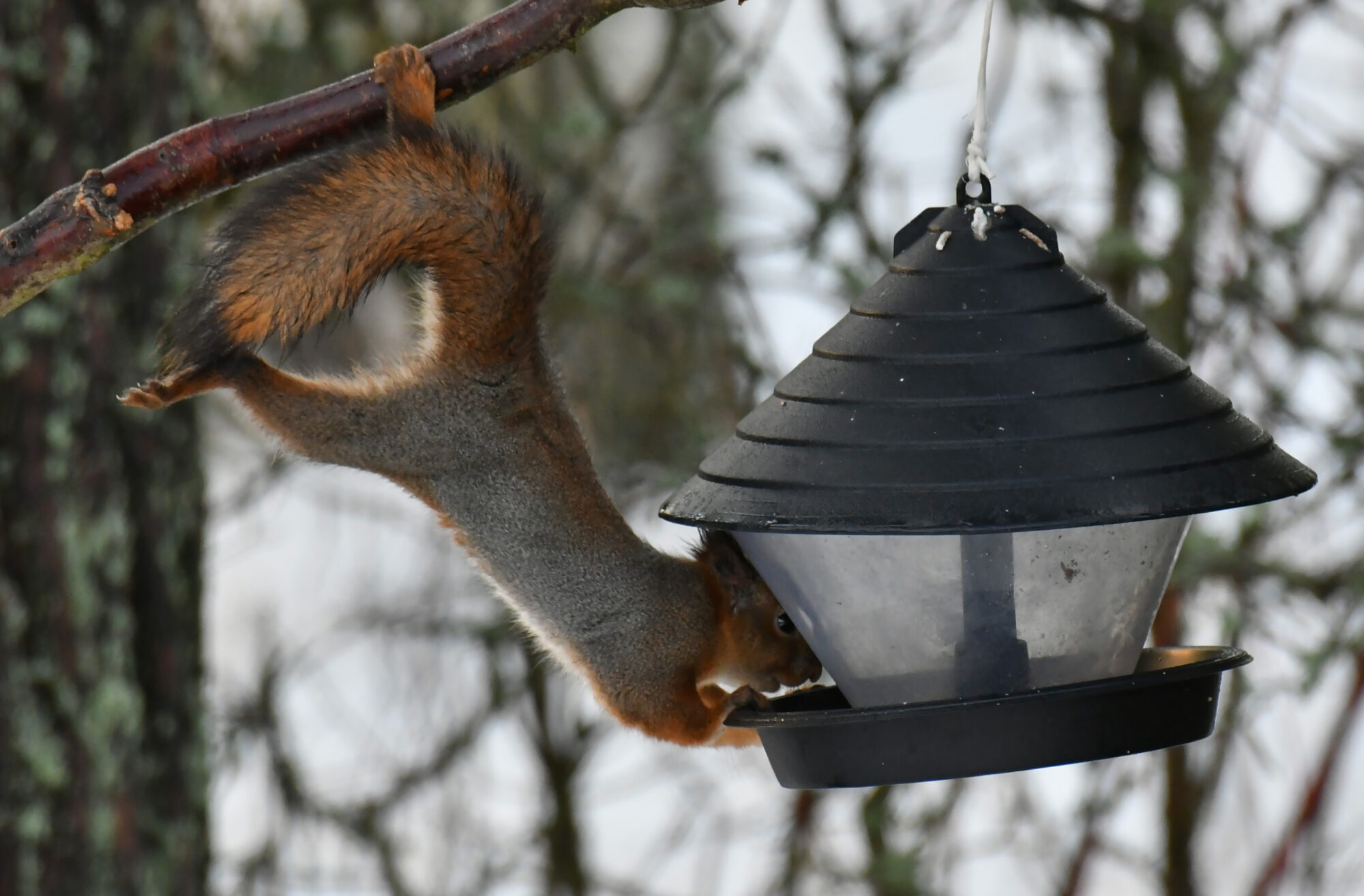 Valokuvaaja: Matti Manninen