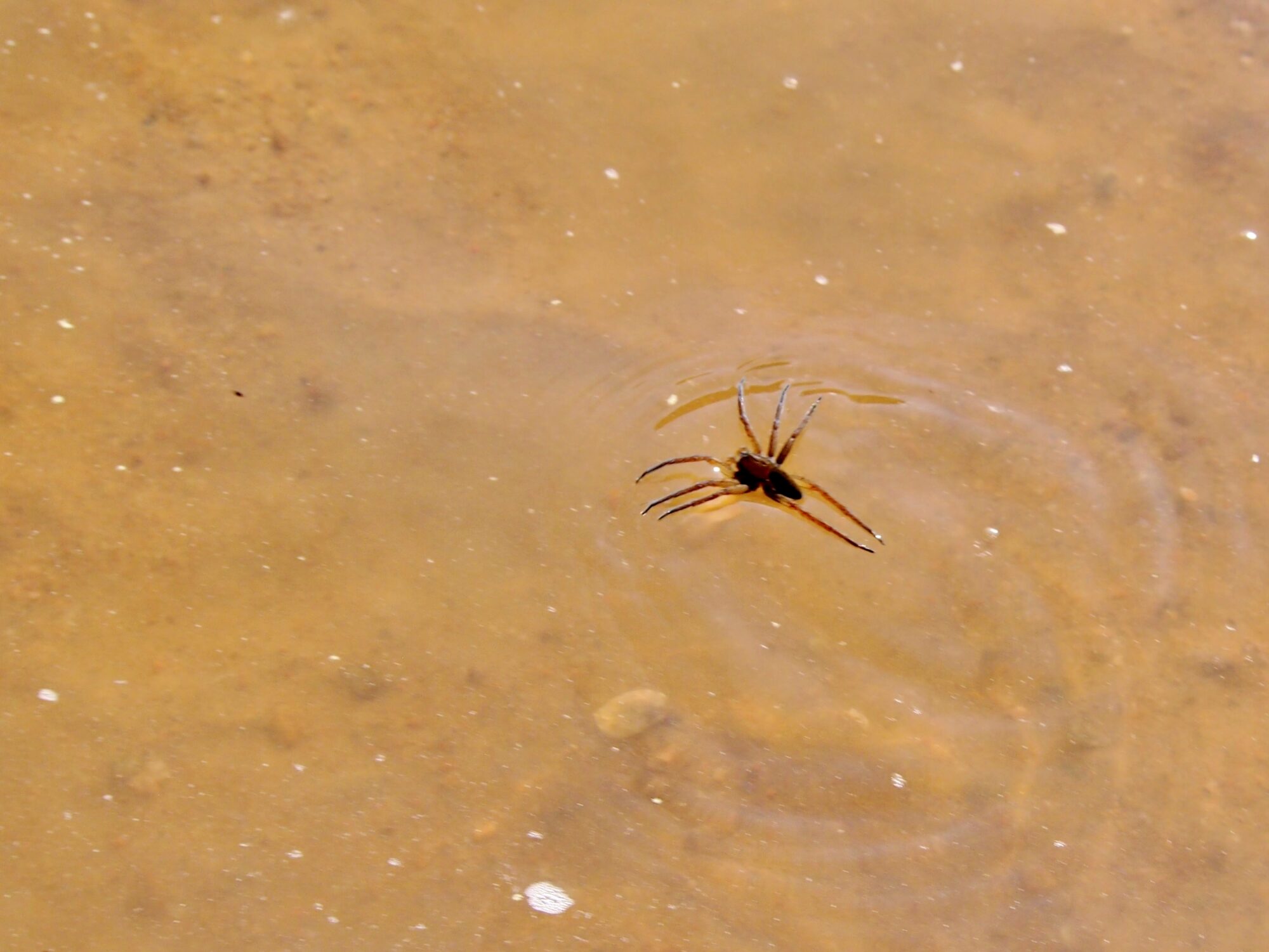 Valokuvaaja: Caapo Vellamo Valokuvaaja: Caapo Vellamo