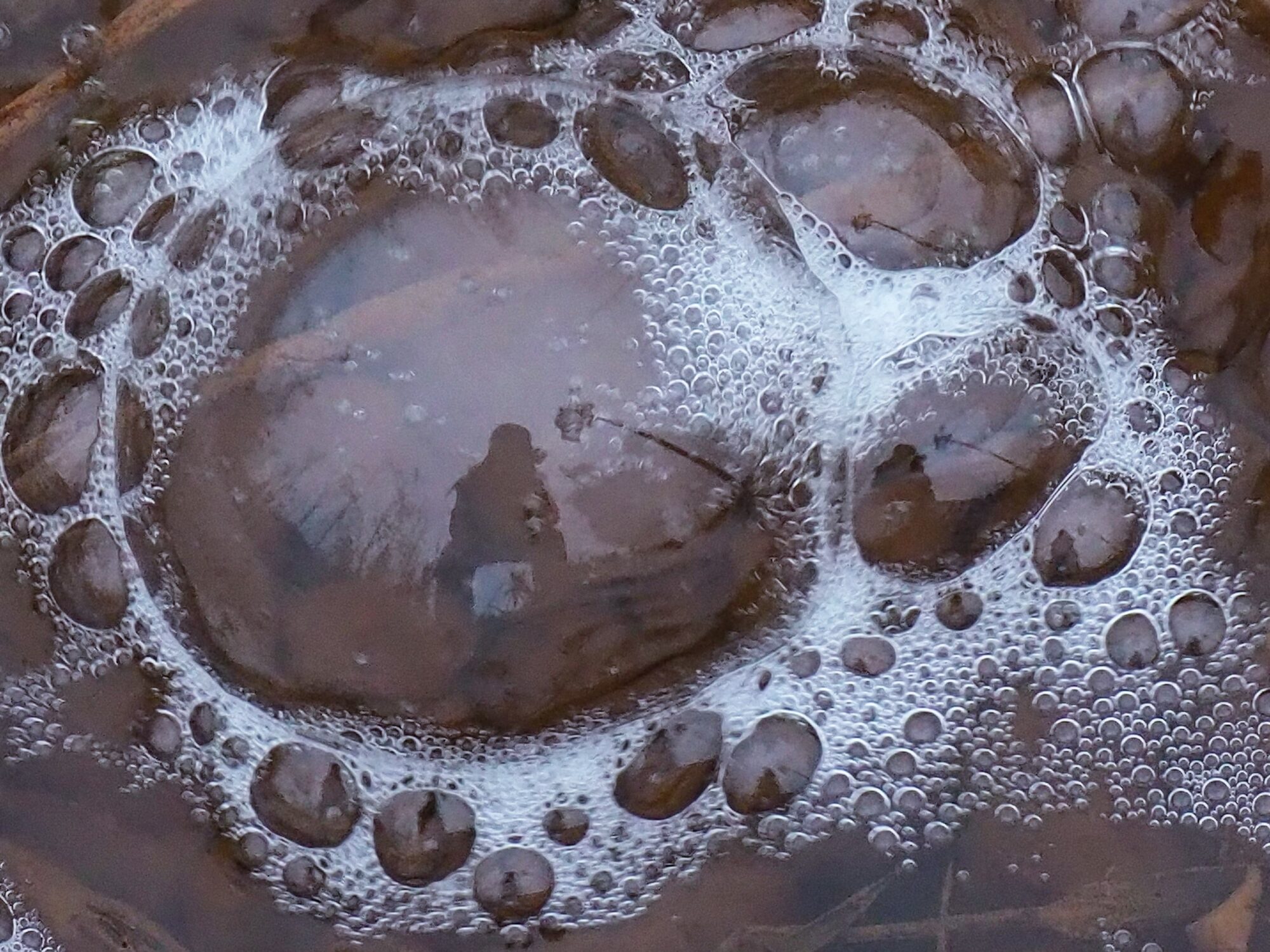 Valokuvaaja: Martti Valtonen