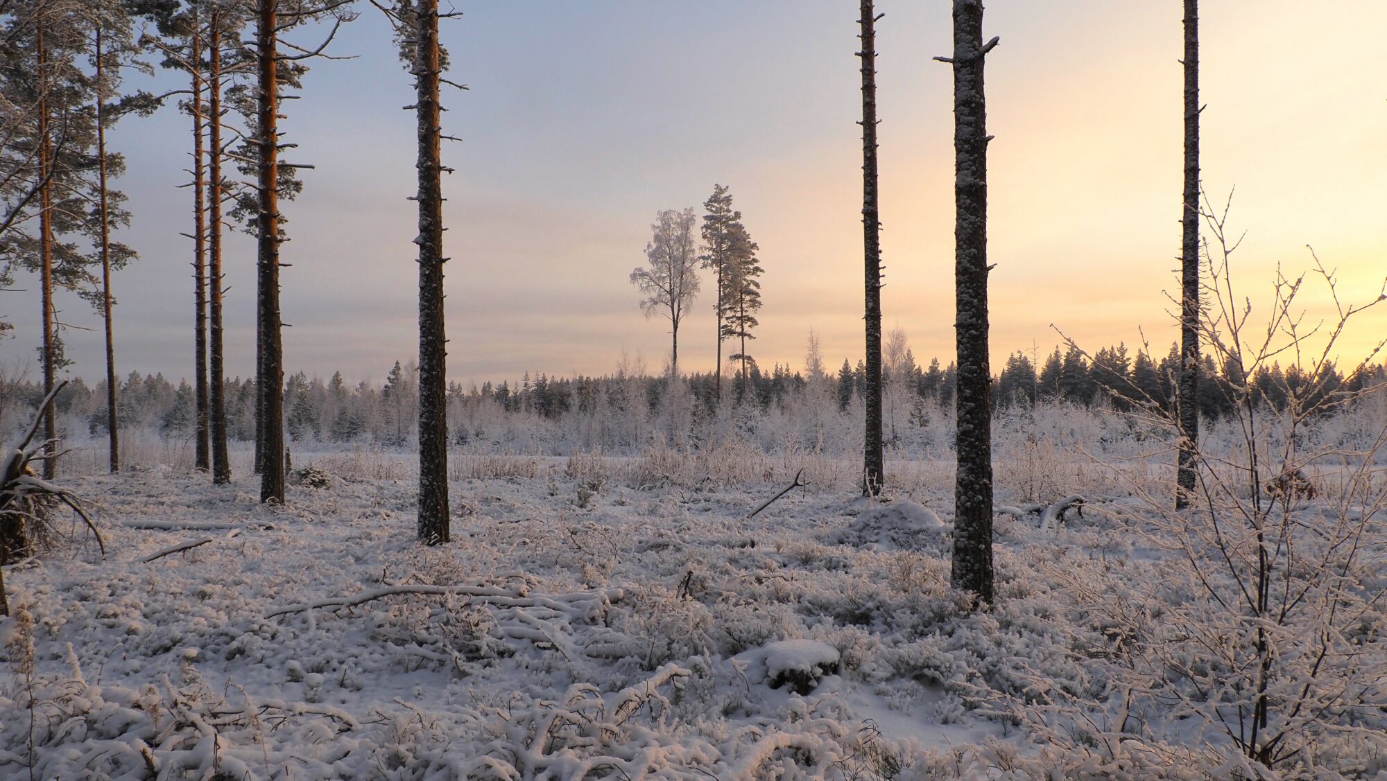Valokuvaaja: Arja Valtonen
