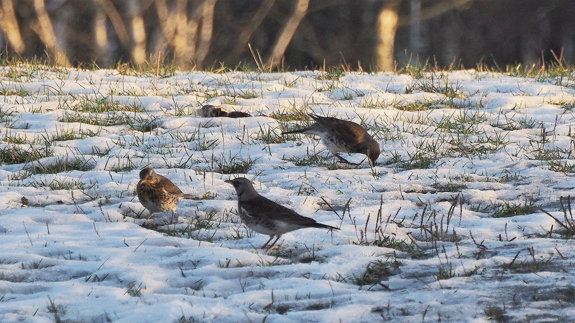 Valokuvaaja: Martti Valtonen