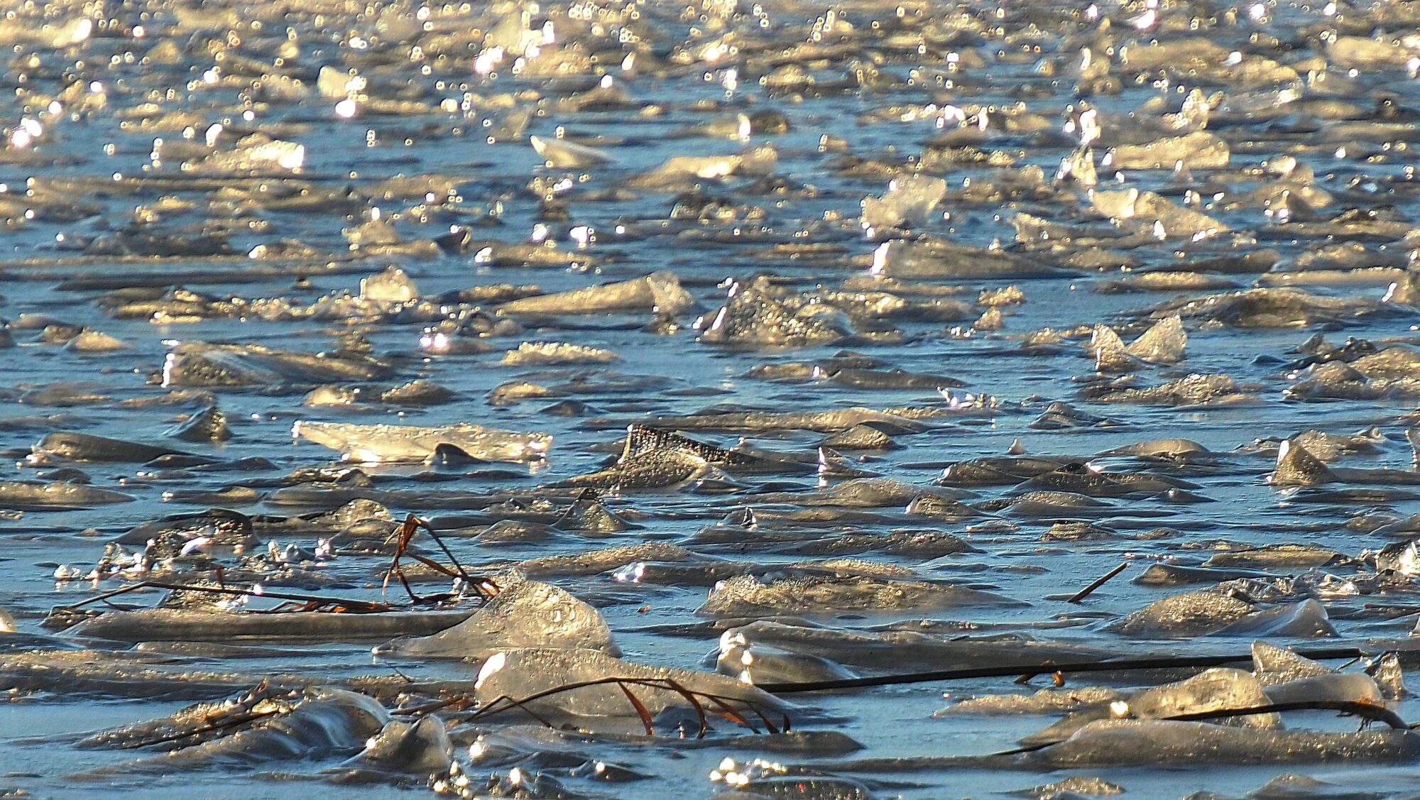 Valokuvaaja: Arja Valtonen