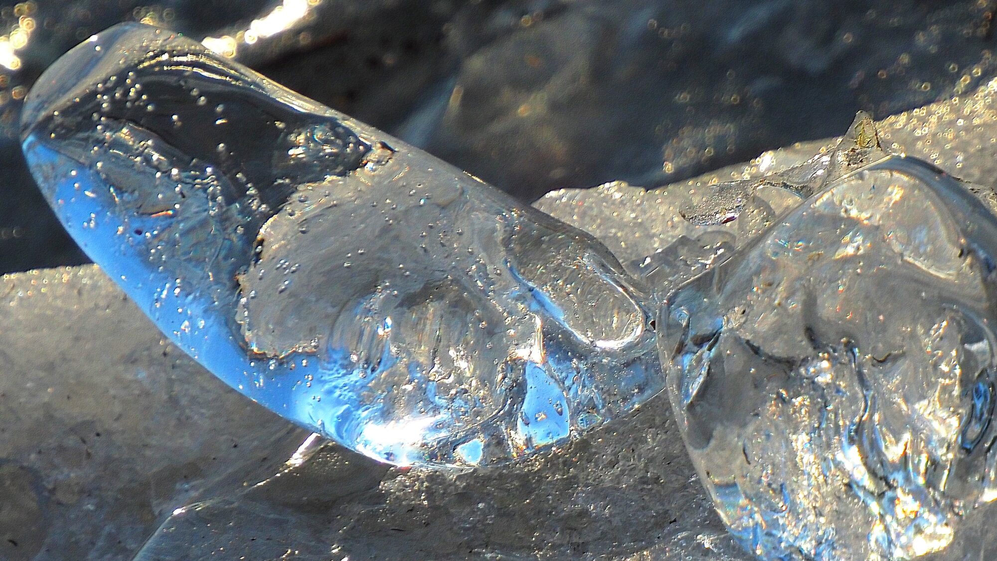 Valokuvaaja: Arja Valtonen