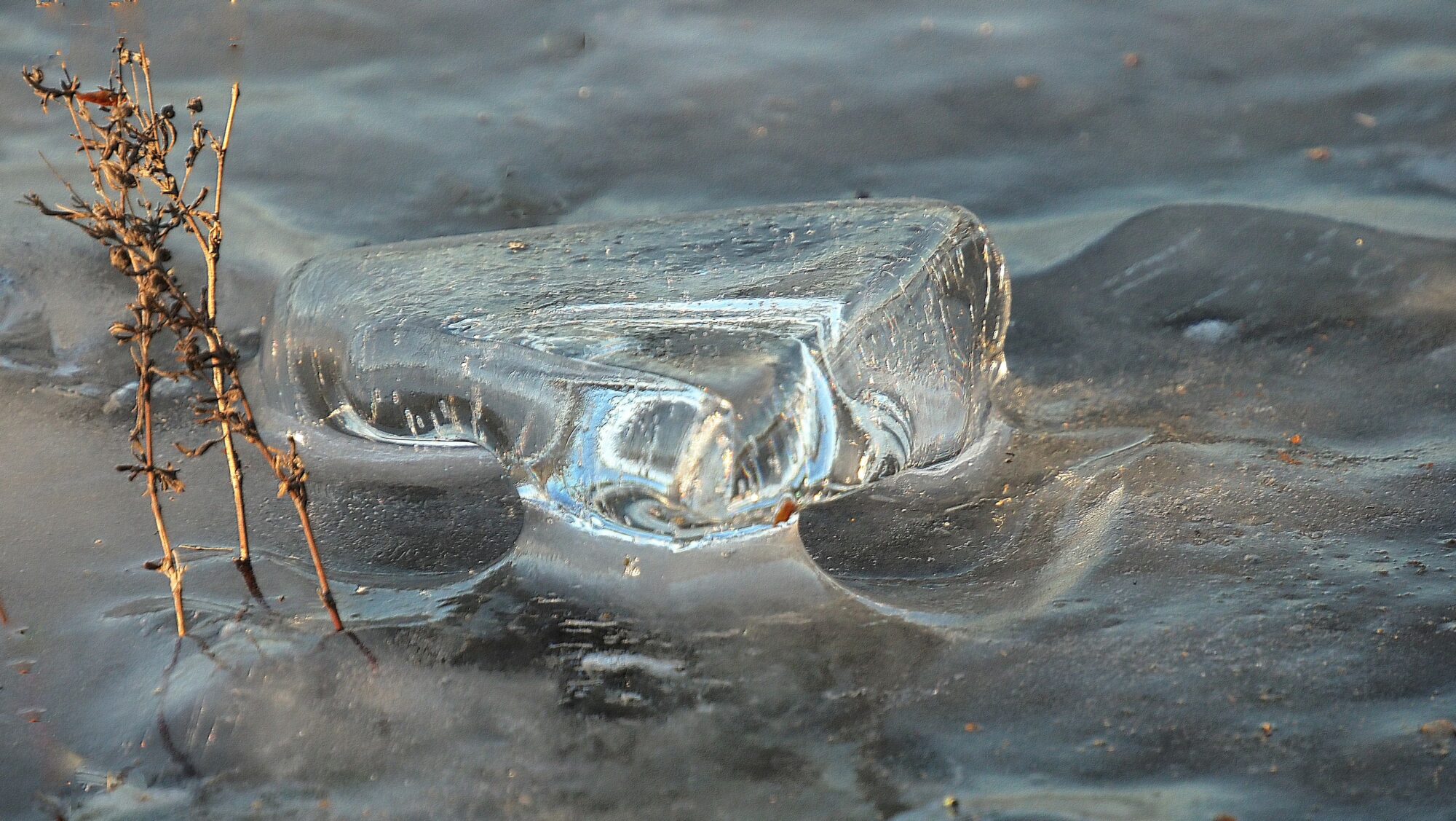 Valokuvaaja: Arja Valtonen