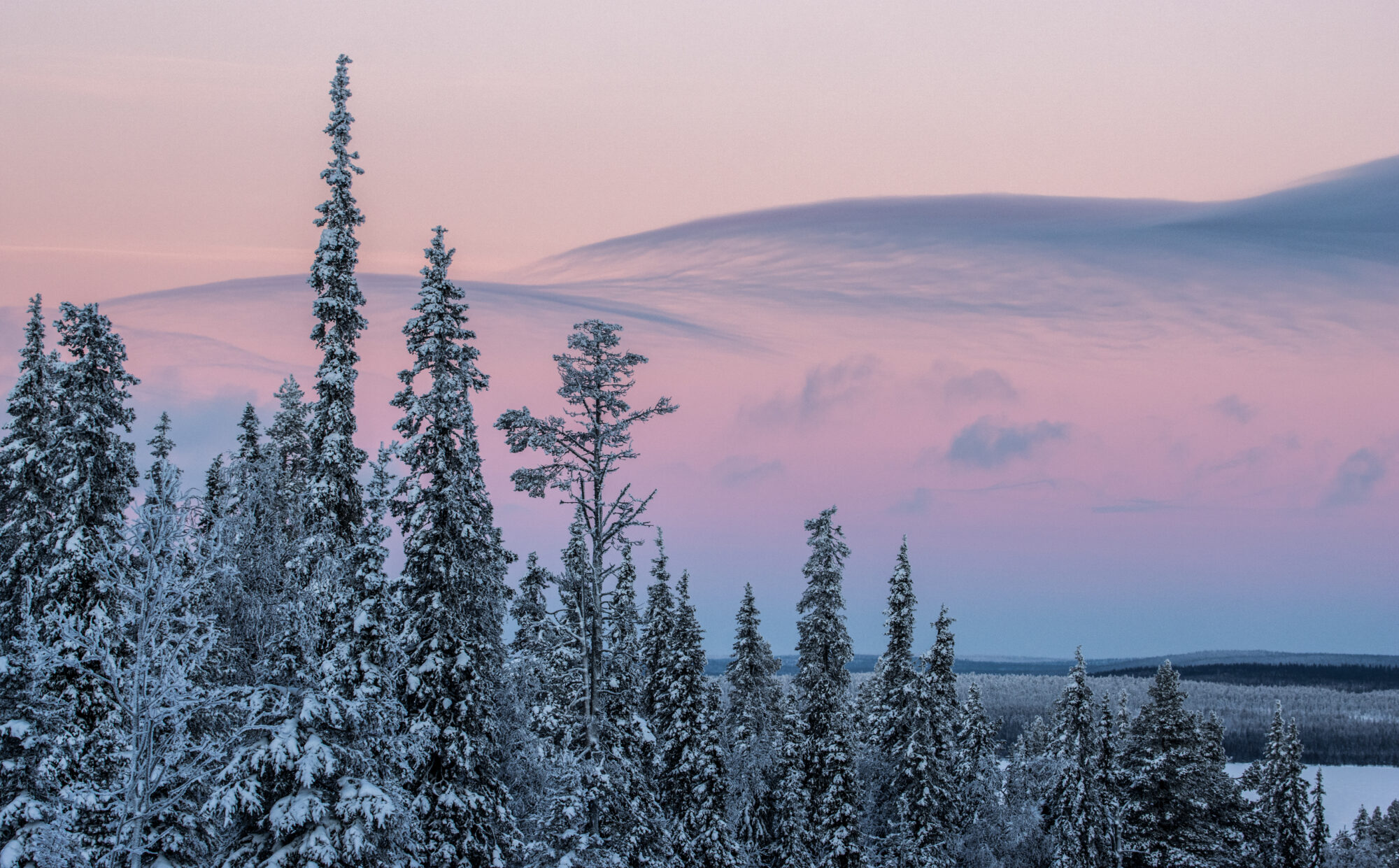 Valokuvaaja: Katri Niskanen