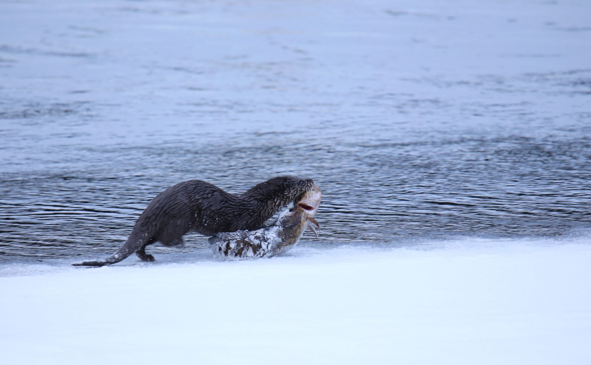 Valokuvaaja: Jaana Saarelainen