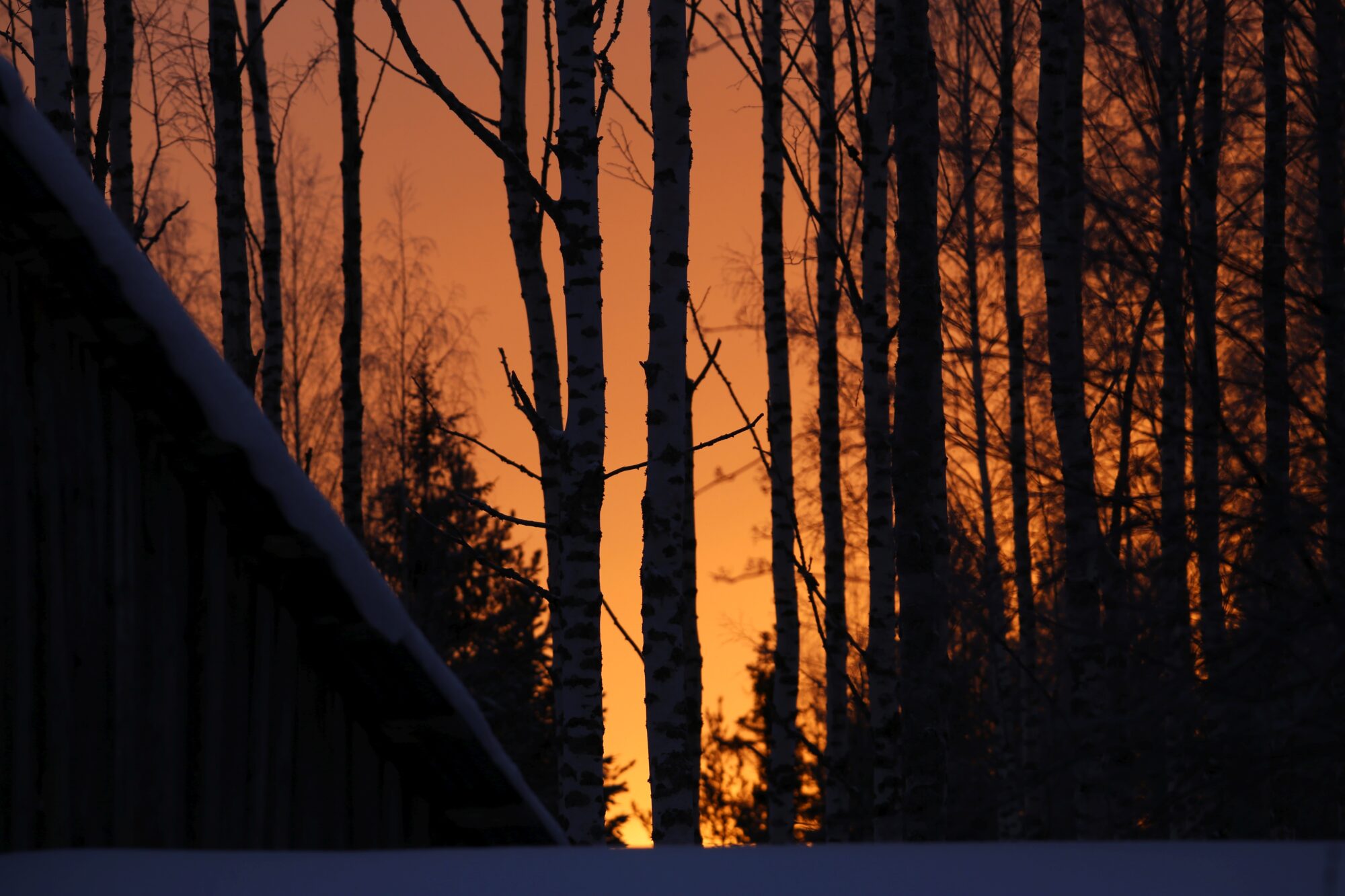 Valokuvaaja: Jaana Saarelainen