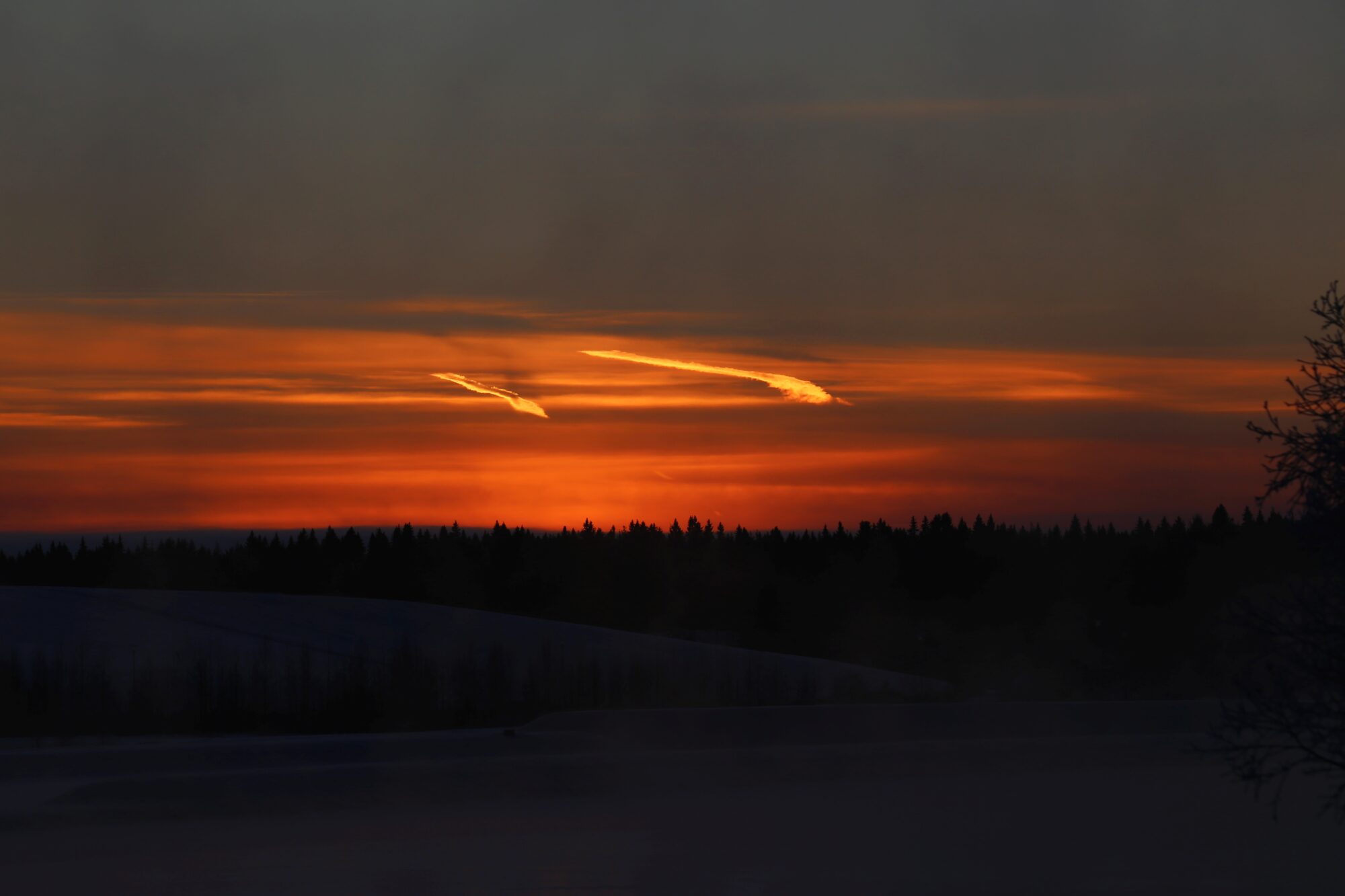 Valokuvaaja: Jaana Saarelainen