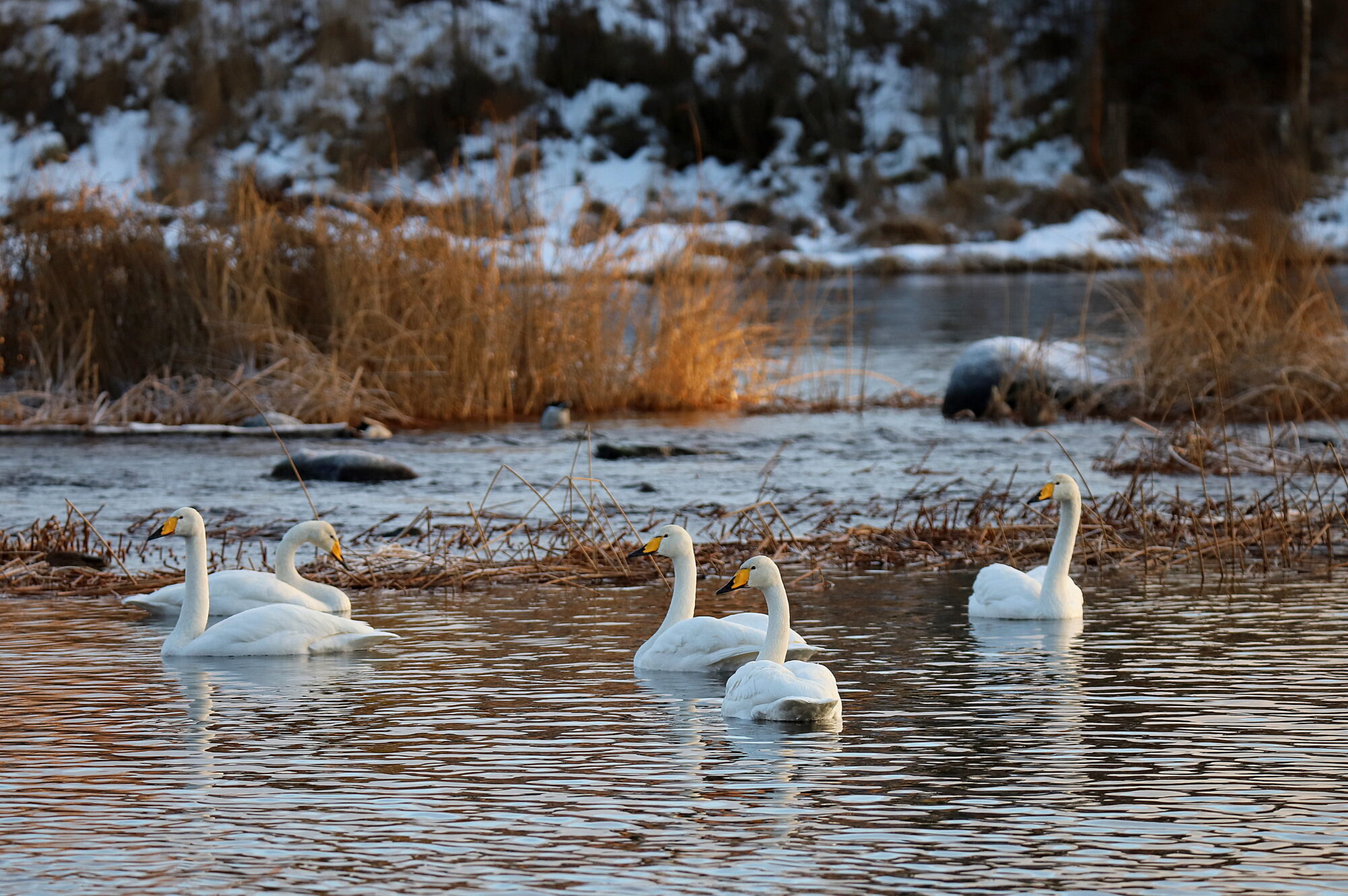 Valokuvaaja: sirpa jyske