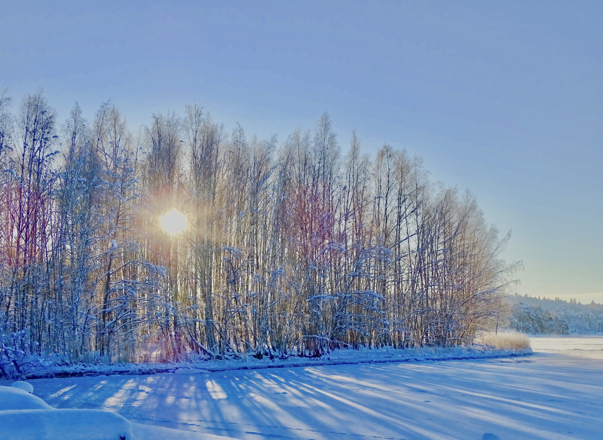 Valokuvaaja: Juhani Peltonen Valokuvaaja: Juhani Peltonen