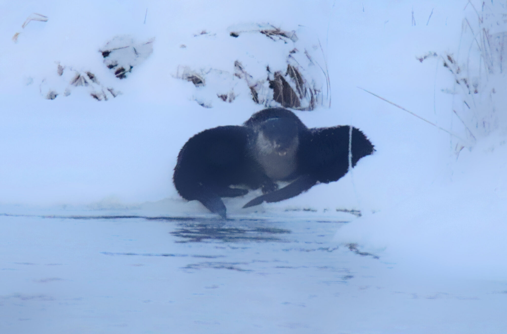 Valokuvaaja: sirpa jyske Valokuvaaja: sirpa jyske