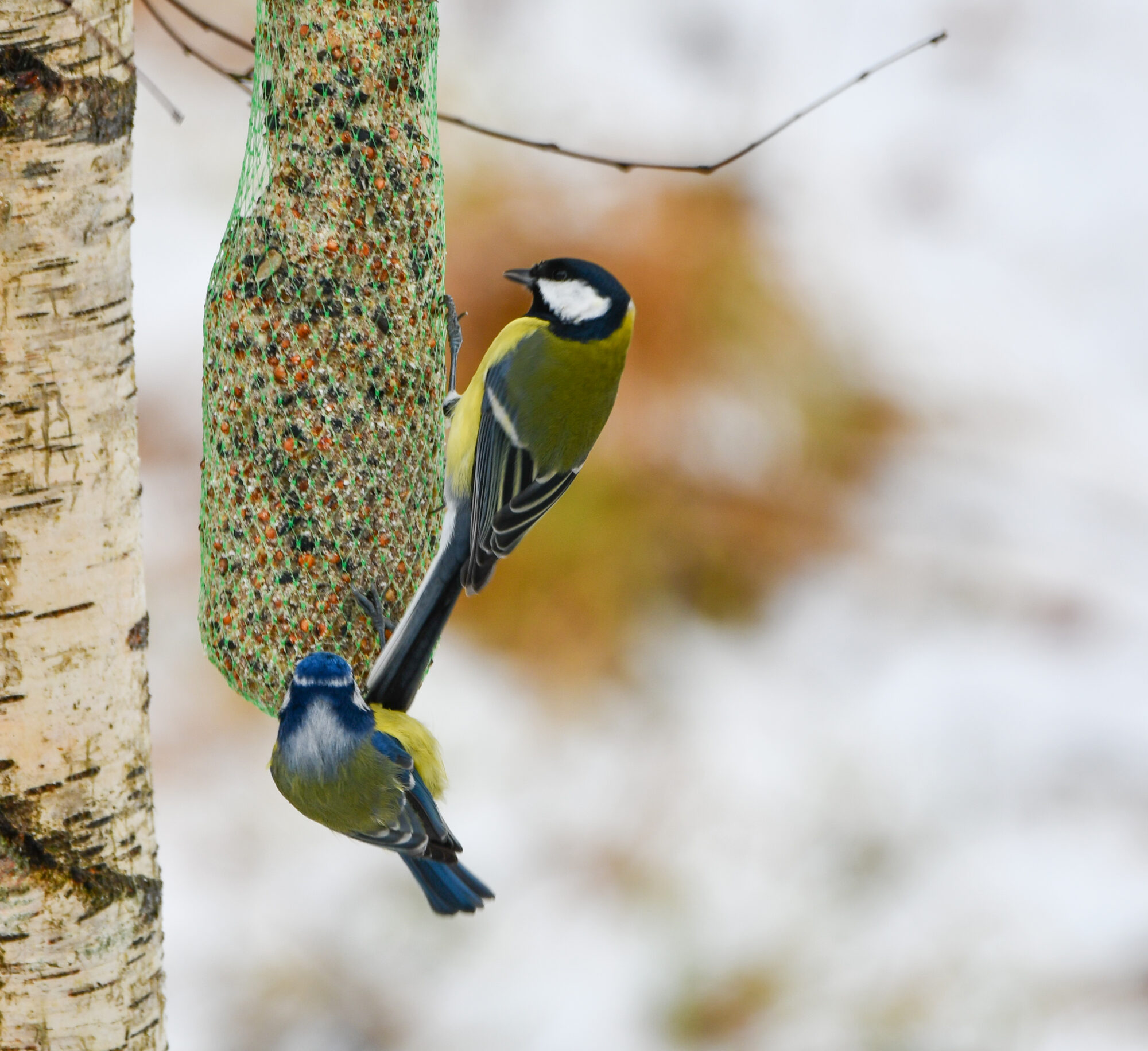 Valokuvaaja: Milla Rasila