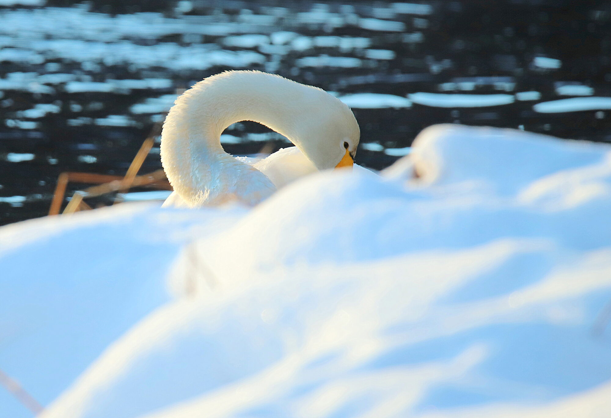 Valokuvaaja: sirpa jyske