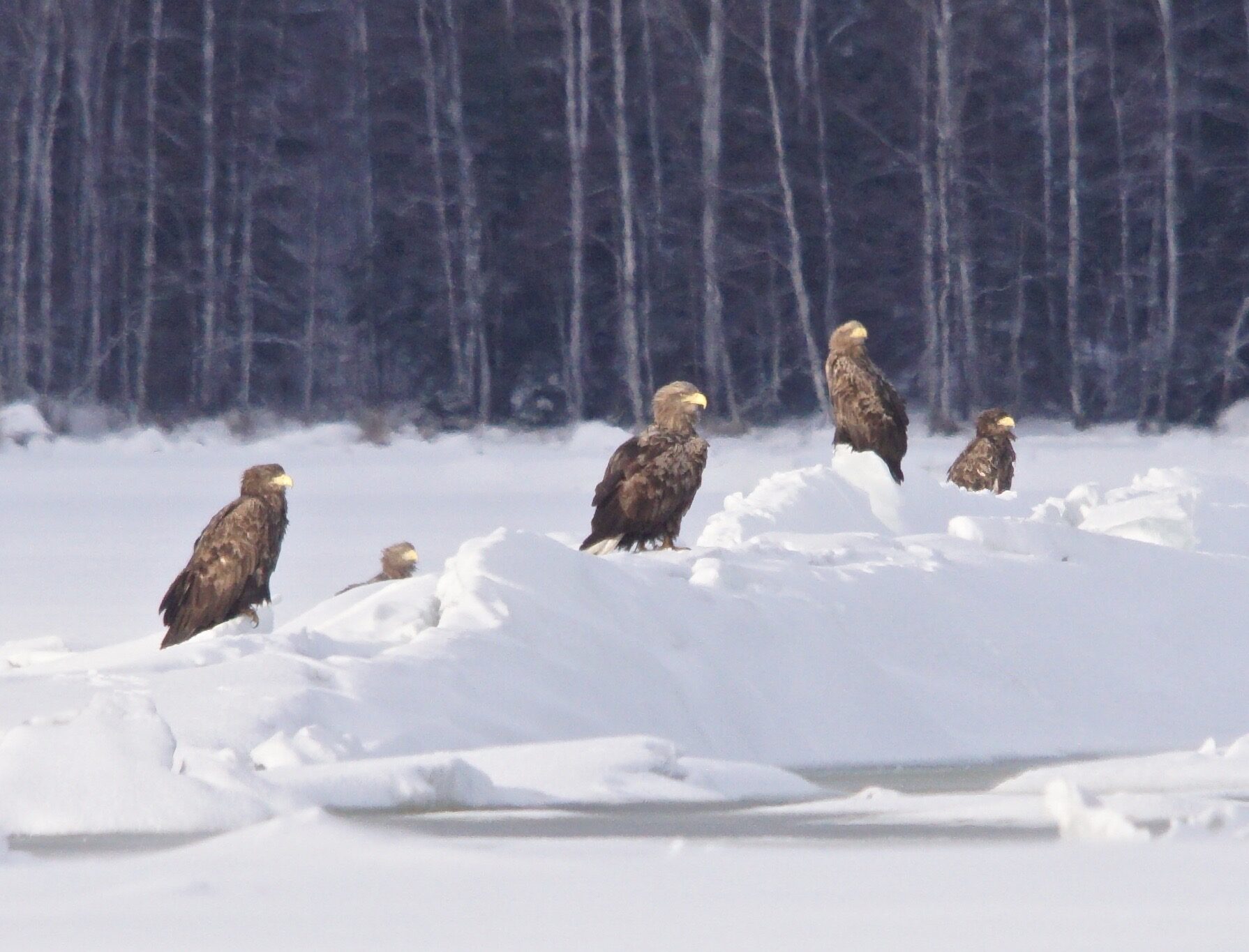 Valokuvaaja: Markku Ranta-Eilola