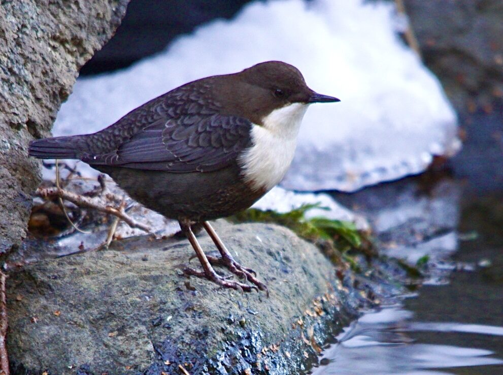 Valokuvaaja: Markku Ranta-Eilola