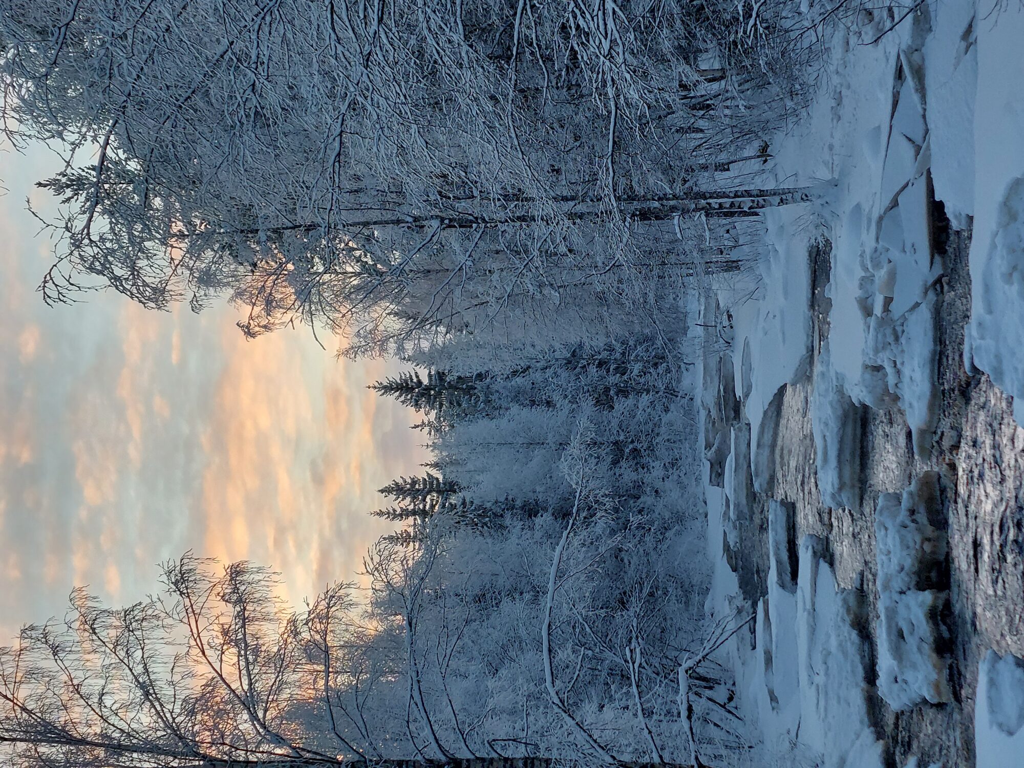 Valokuvaaja: Sari Viemerö