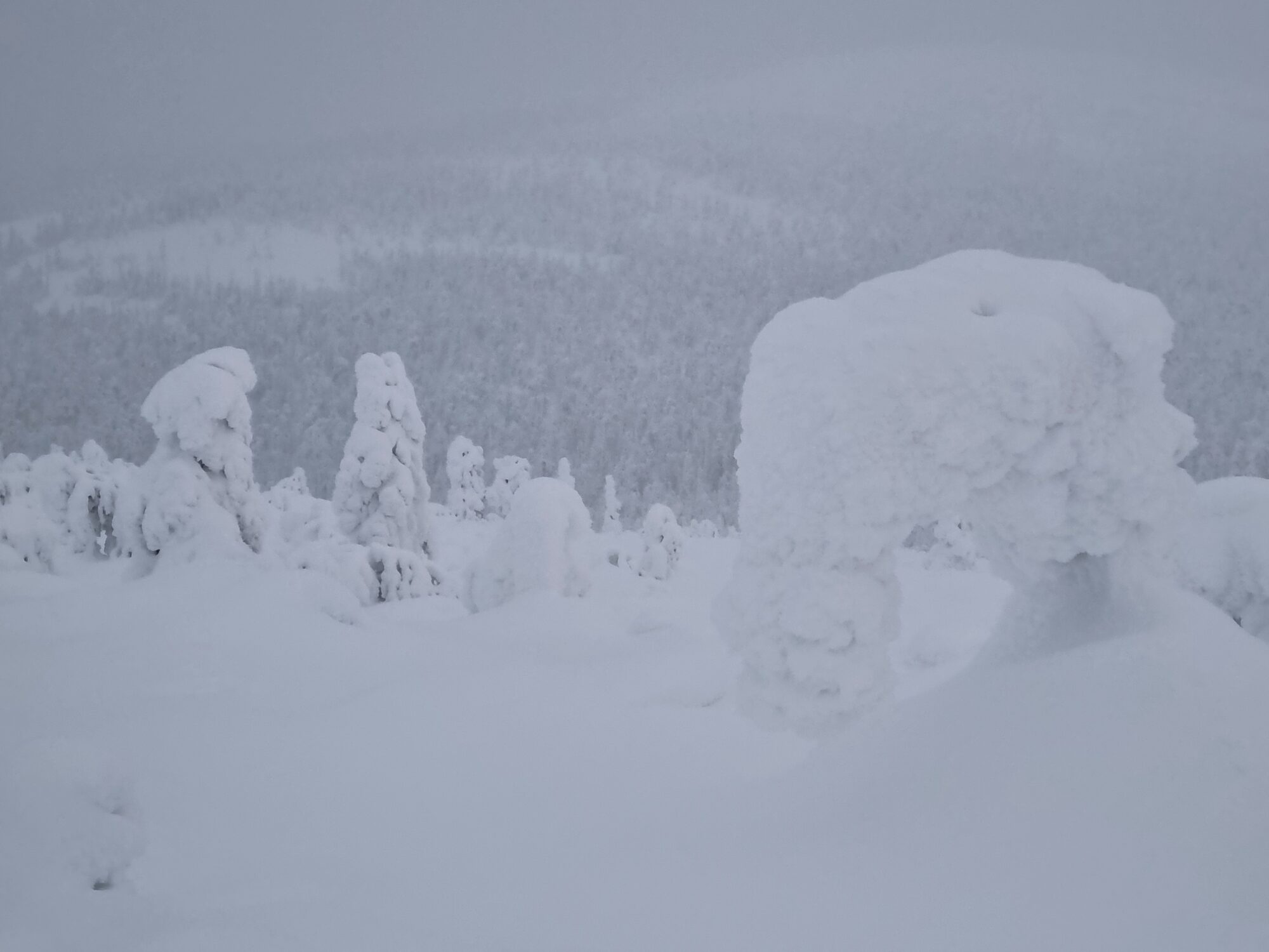 Valokuvaaja: Dennis Lehtonen
