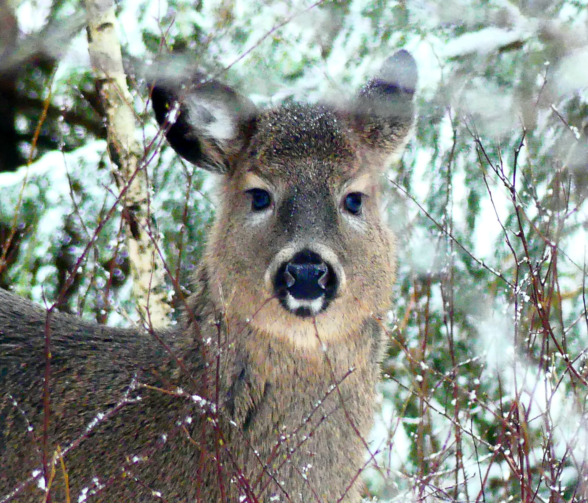 Valokuvaaja: Helena Noronen