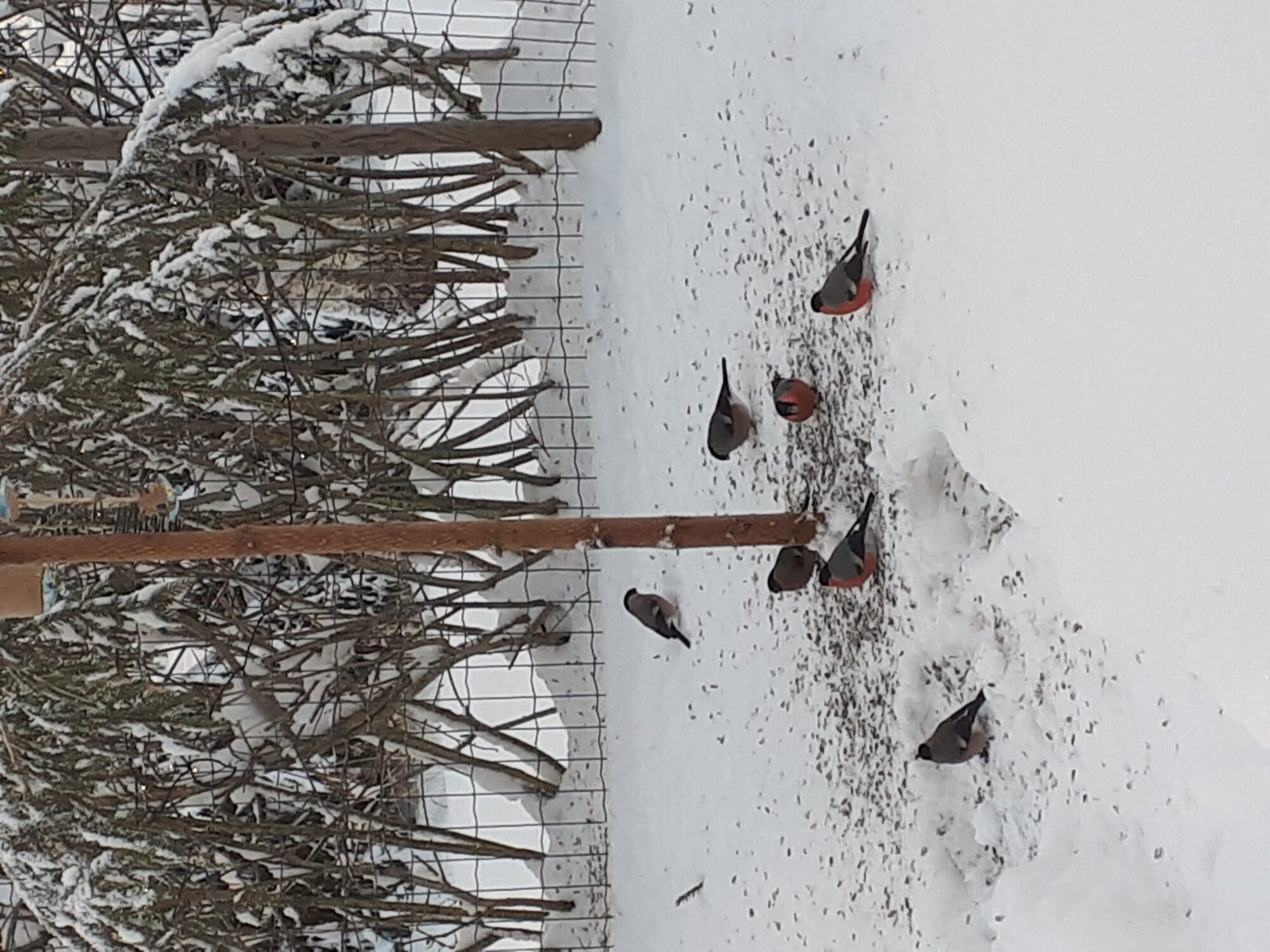 Valokuvaaja: Paula Kuvaja